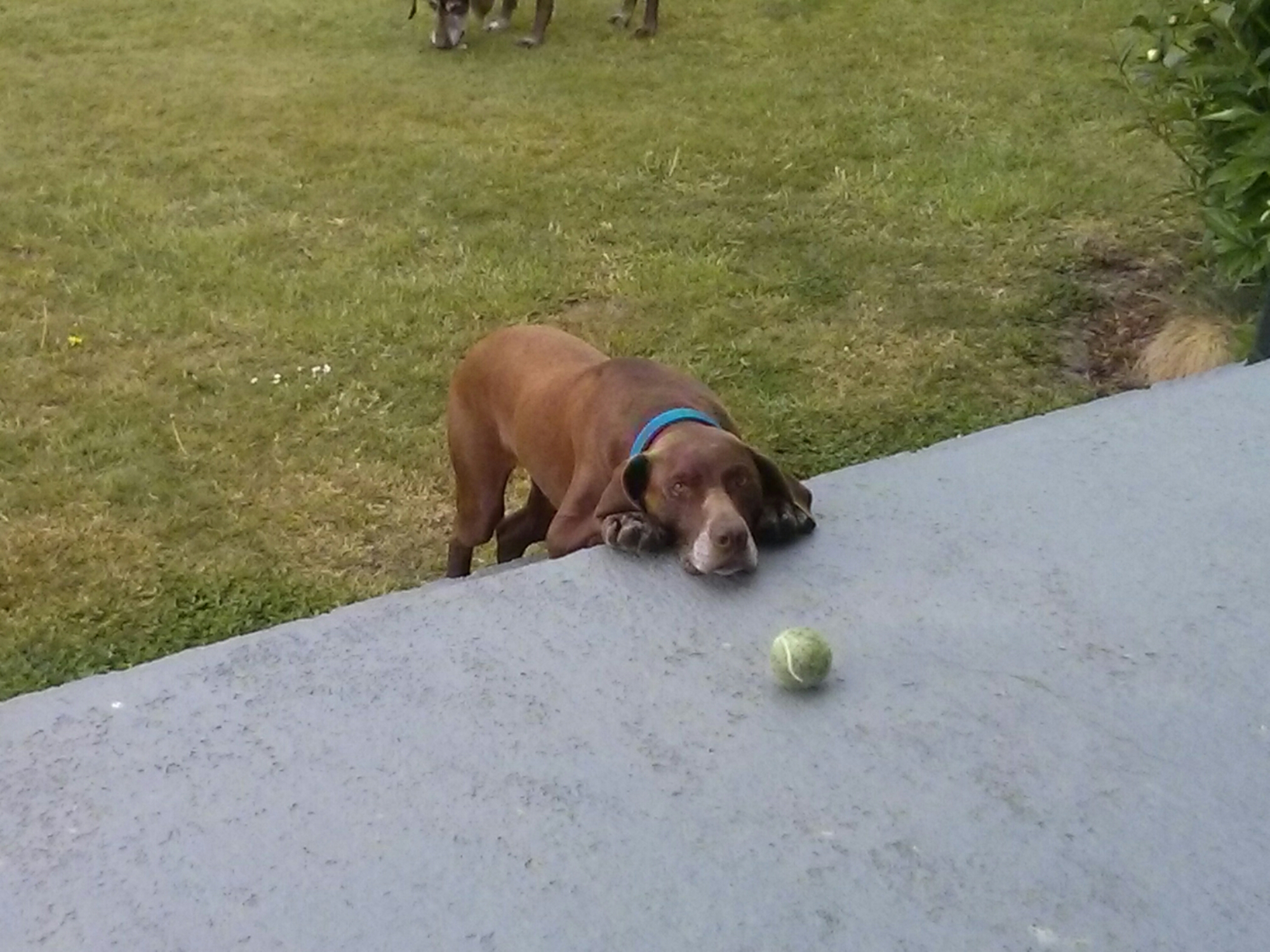 wp-1414740460551 image