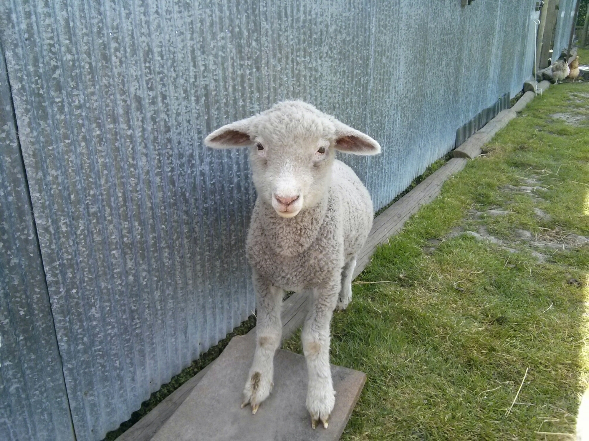 wp-1414829151056 image