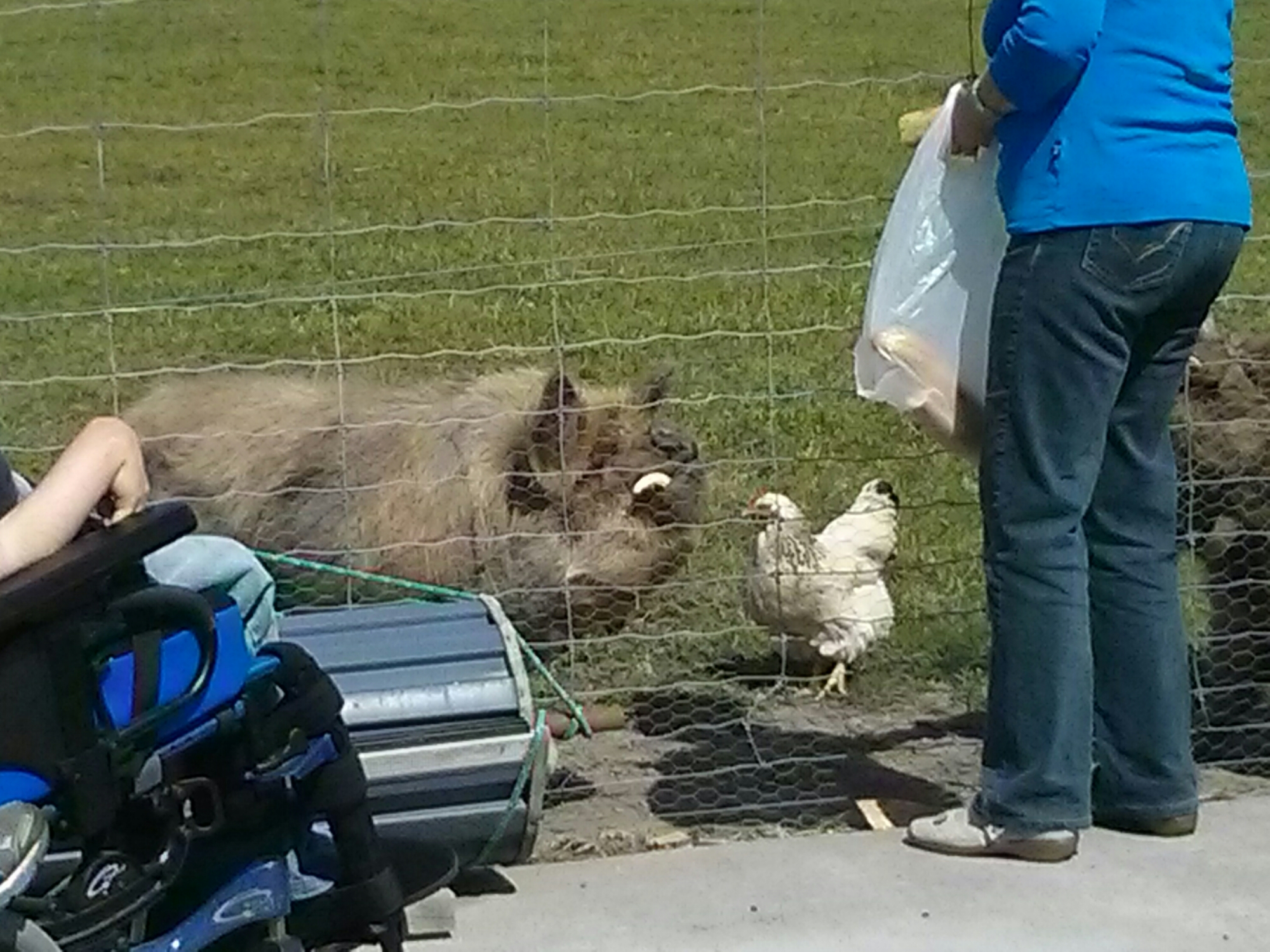 wp-1414829180230 image