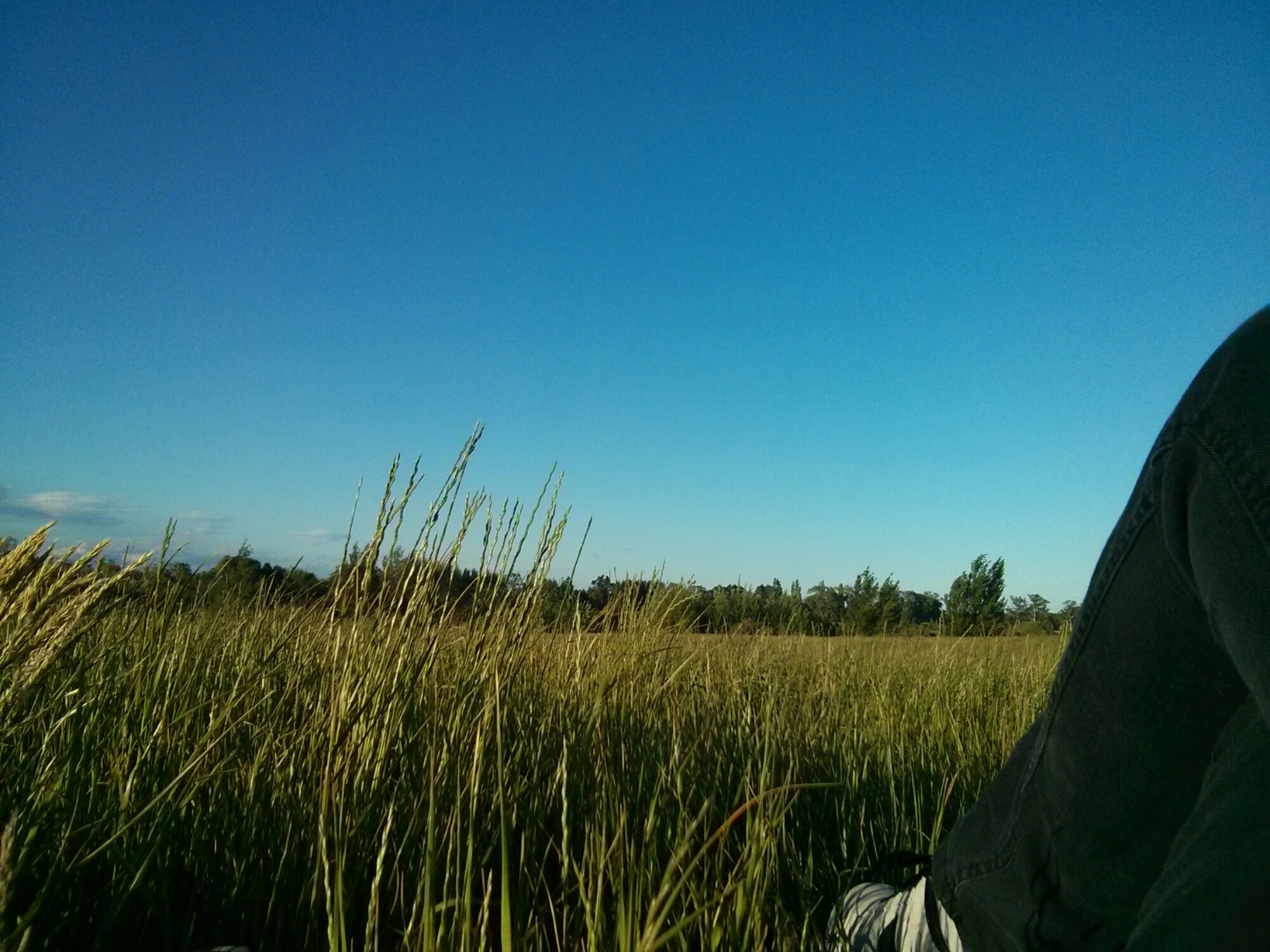 wp-1414829243290 image