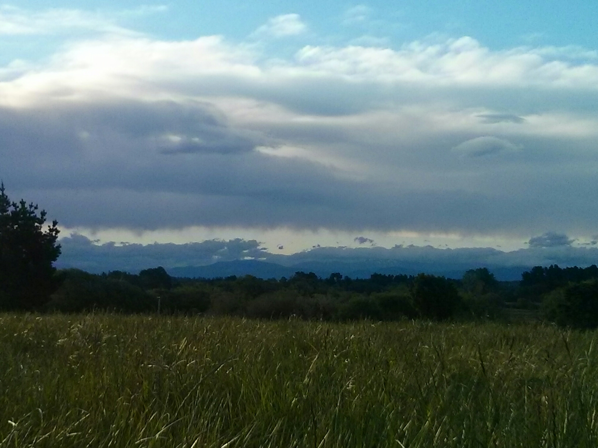 wp-1414829259910 image