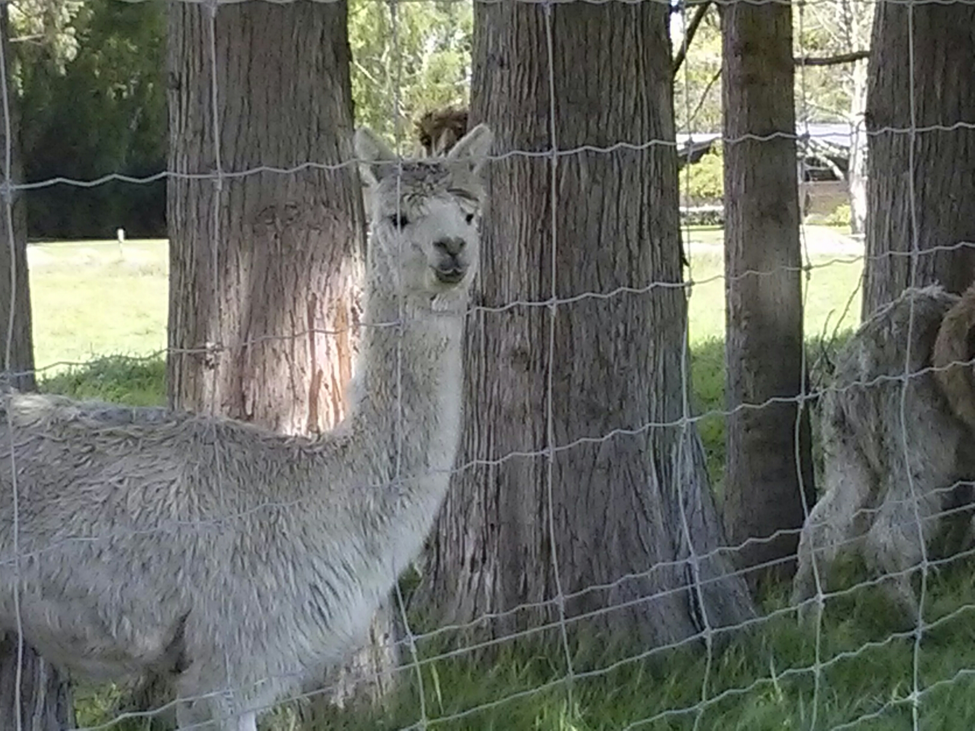 wp-1414829320580 image