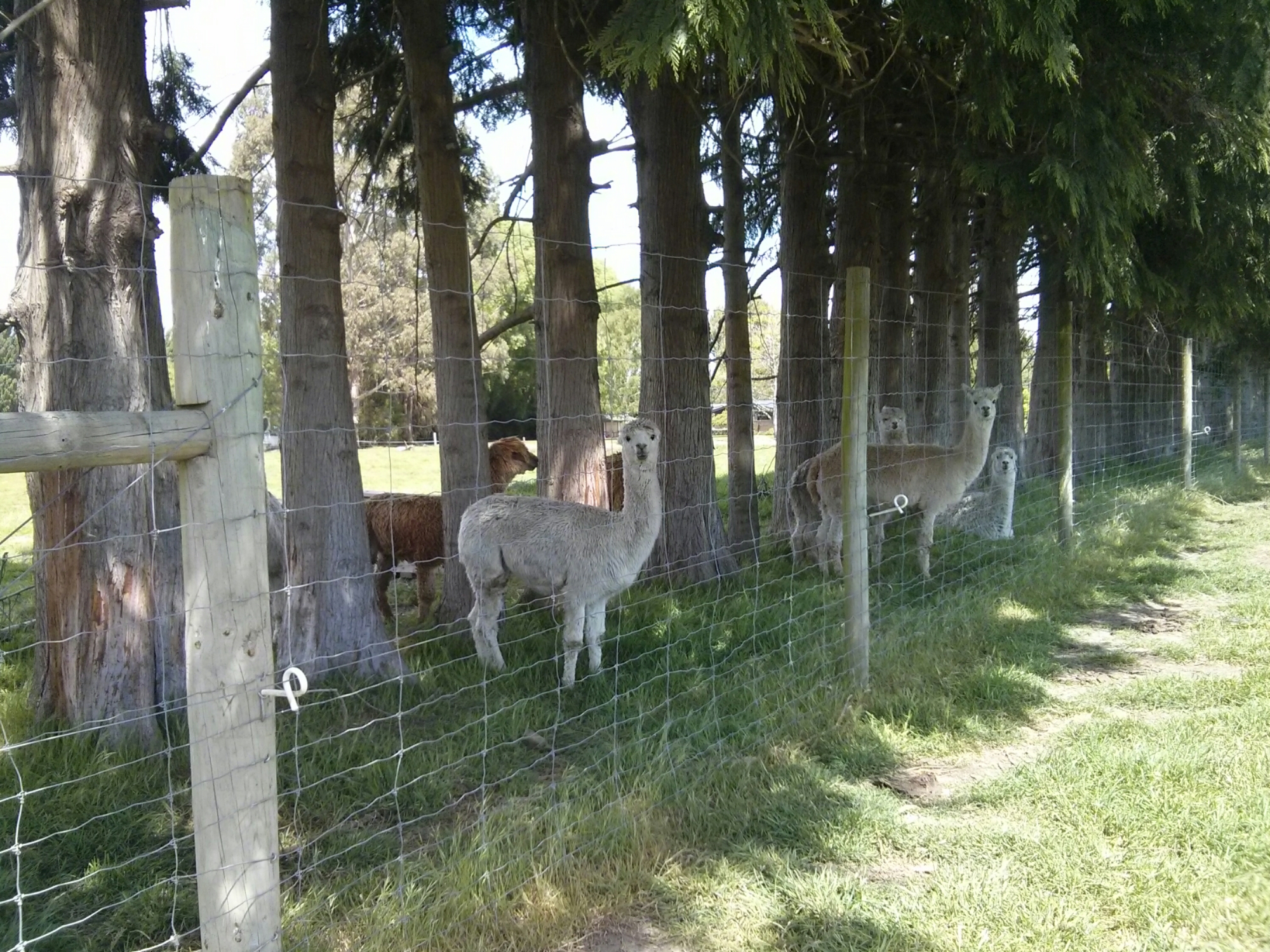 wp-1414829331382 image