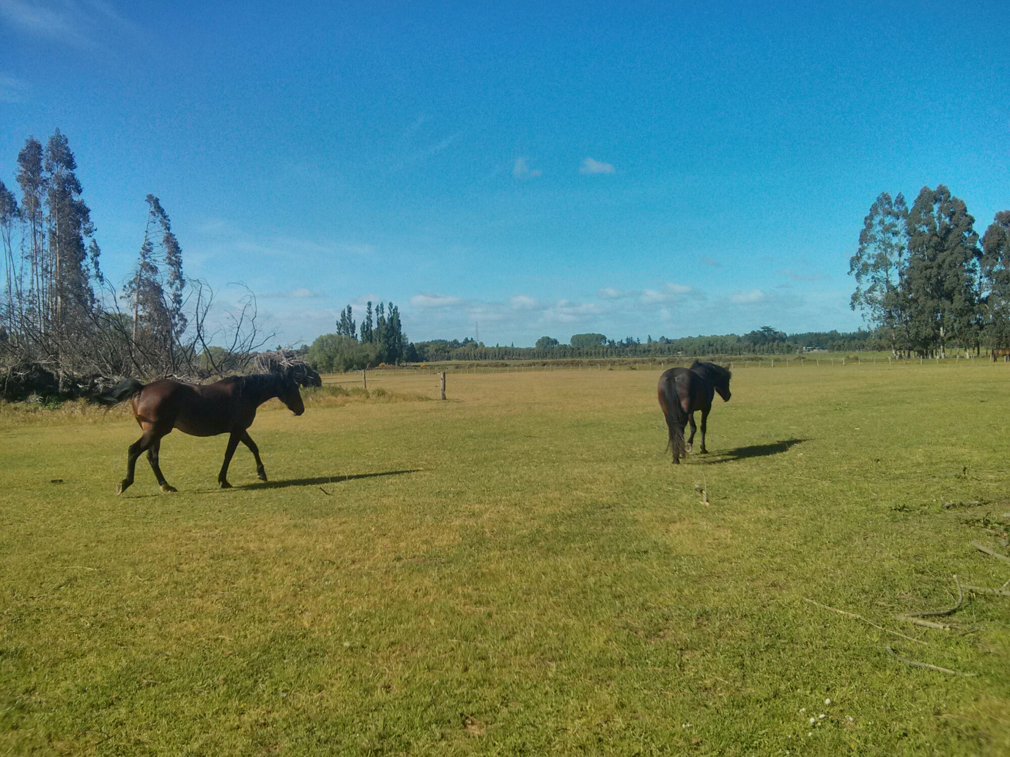 wp-1415944073280 image