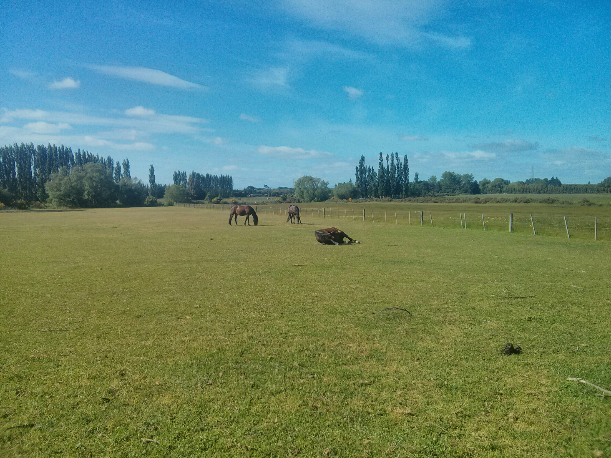 wp-1415944092397 image