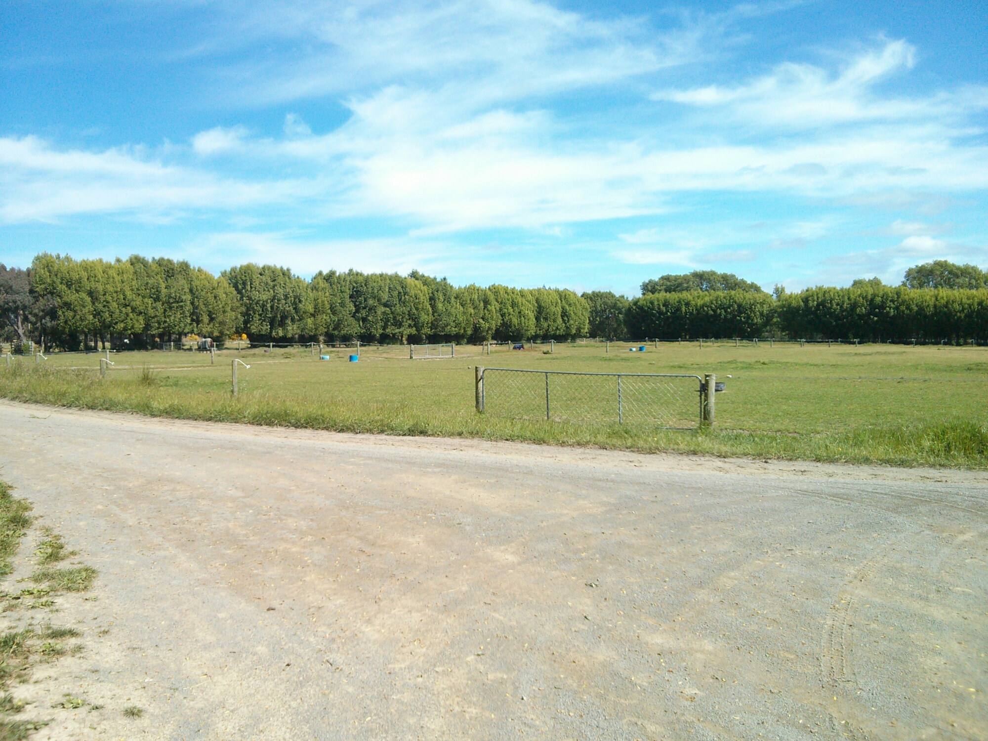 wp-1415944143725 image