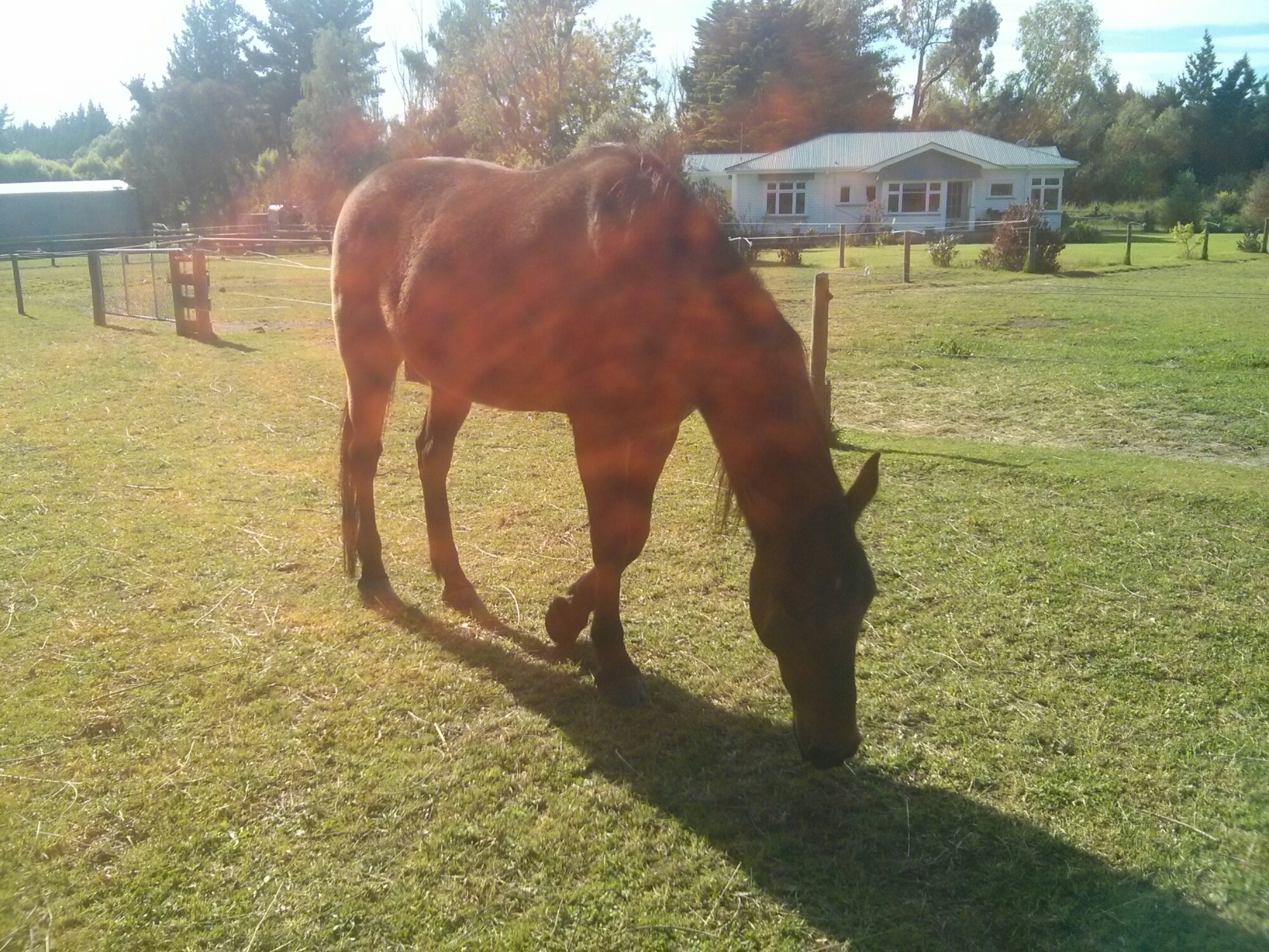 wp-1415944175248 image