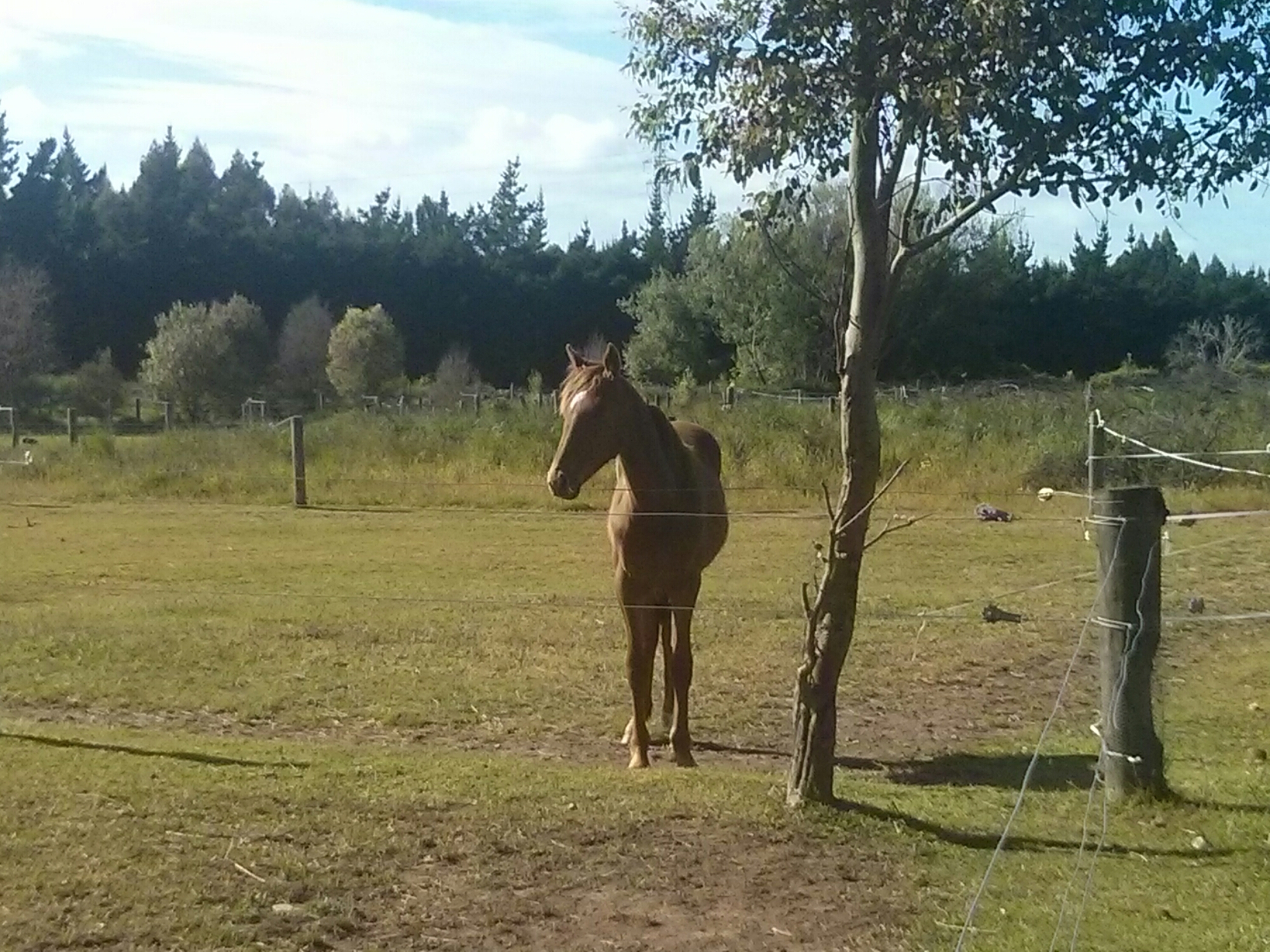 wp-1415944334994 image