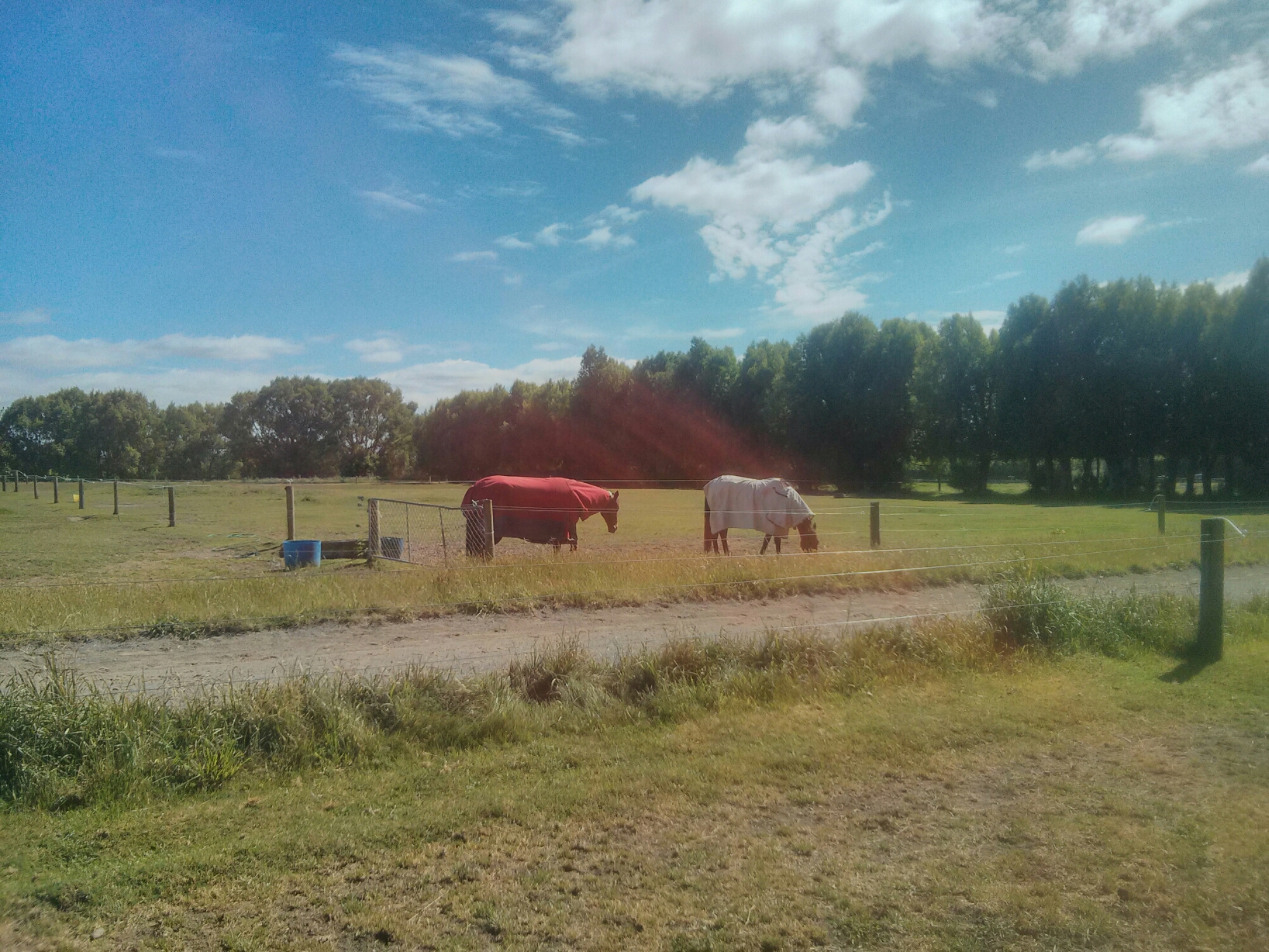 wp-1415944368475 image