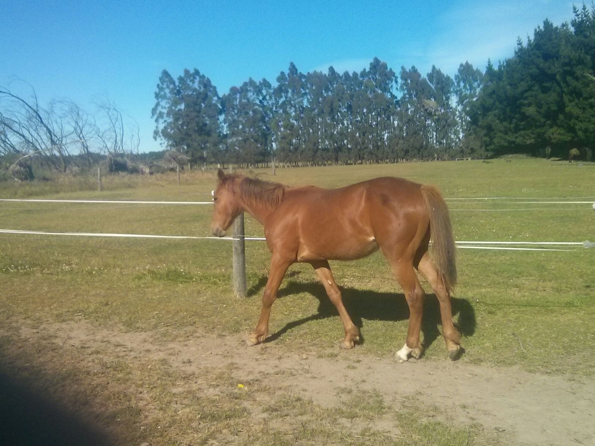 wp-1416032241062 image