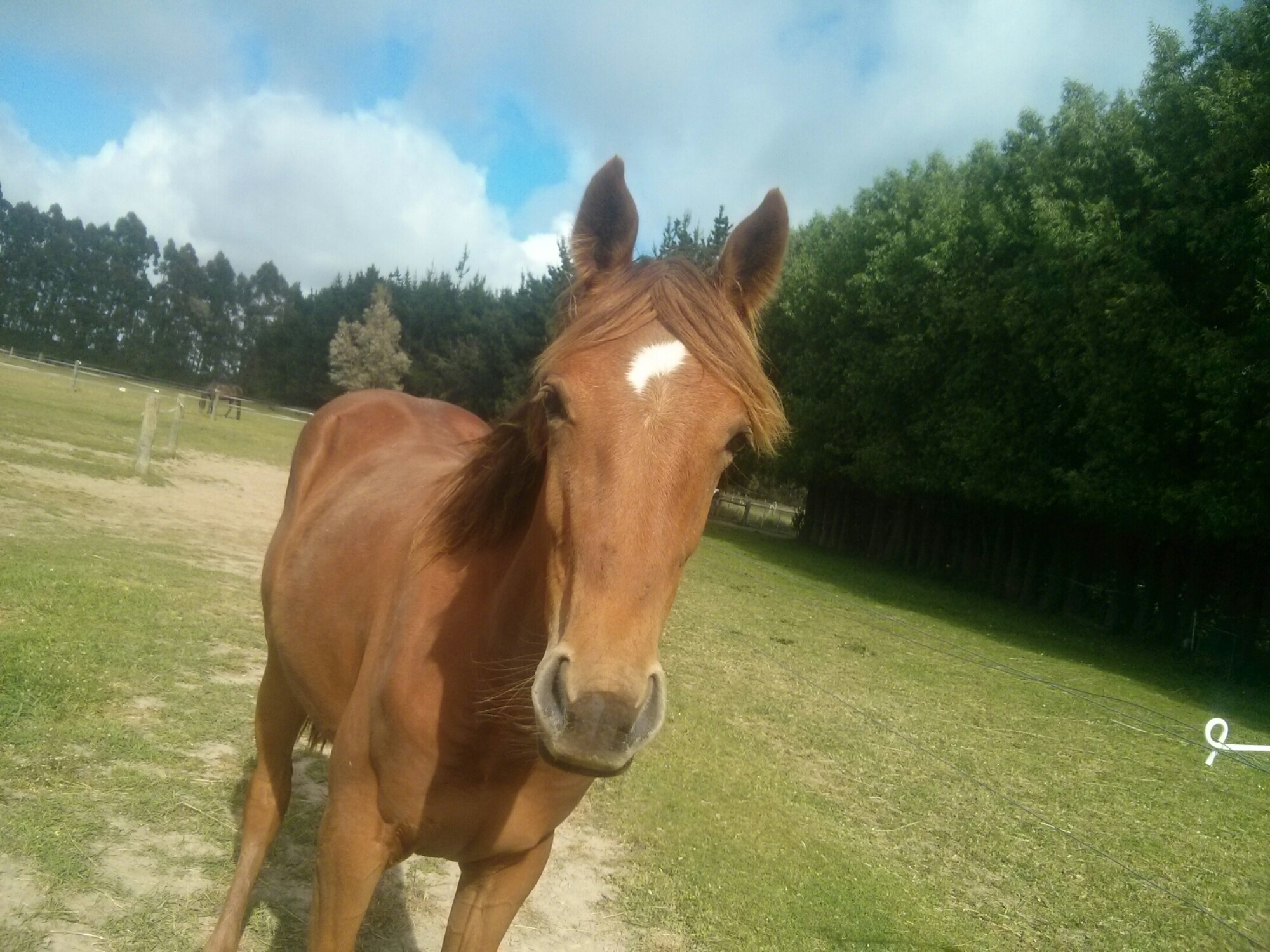 wp-1416118230562 image