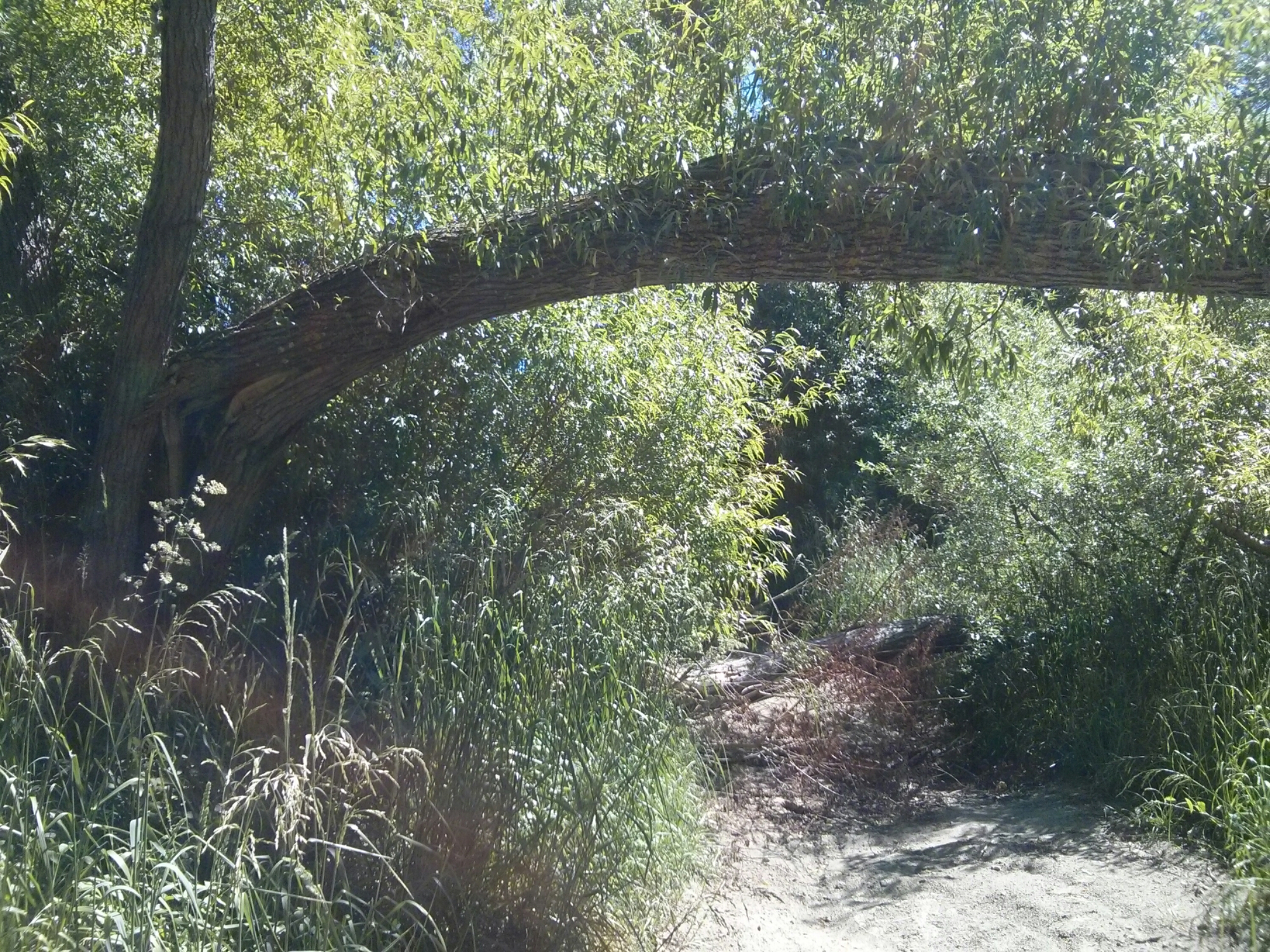 wp-1416301745724 image