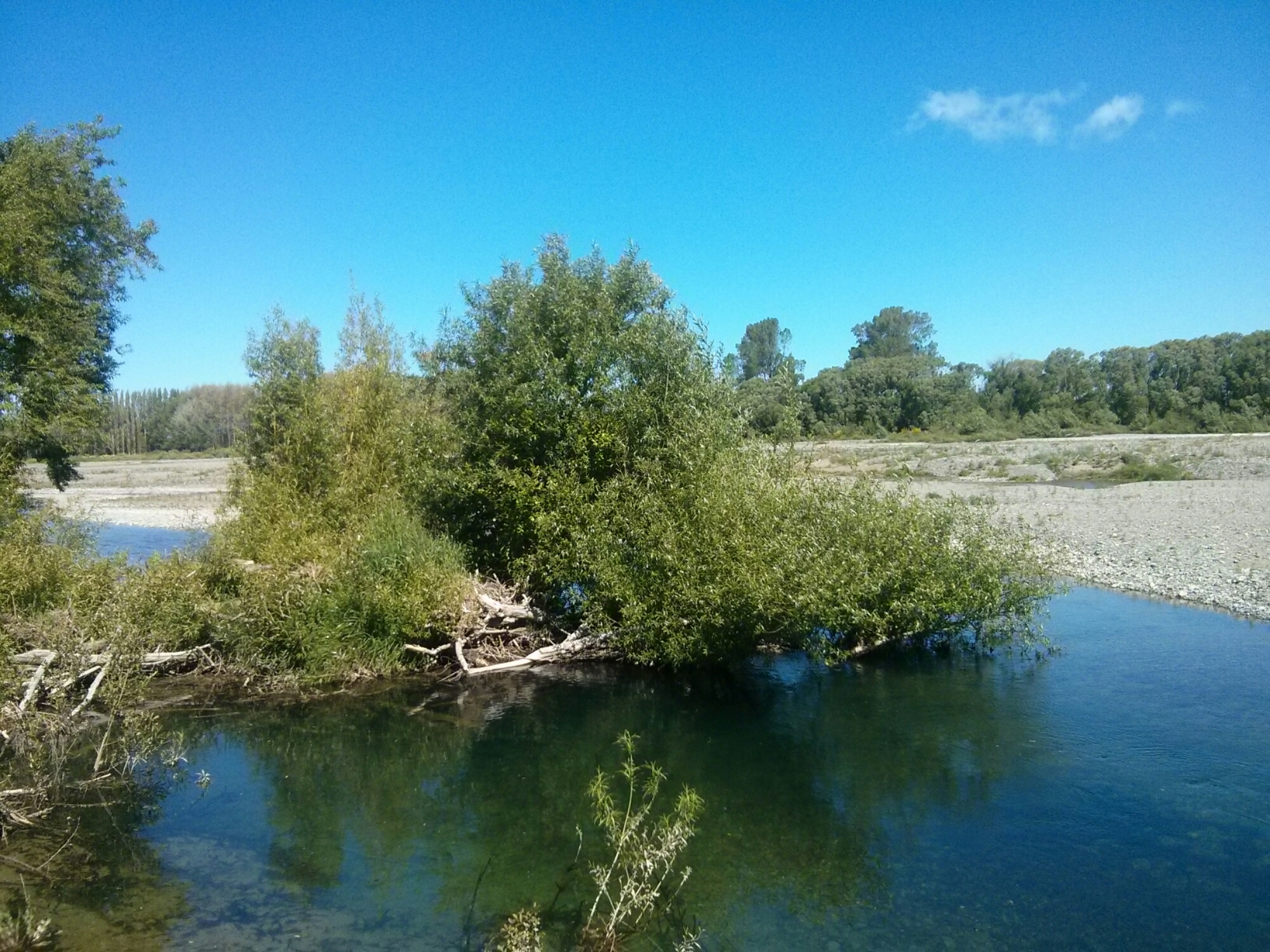 wp-1416301890599 image