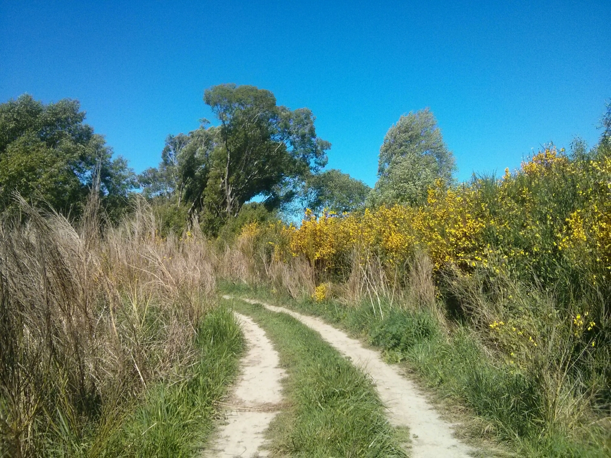 wp-1416302071688 image