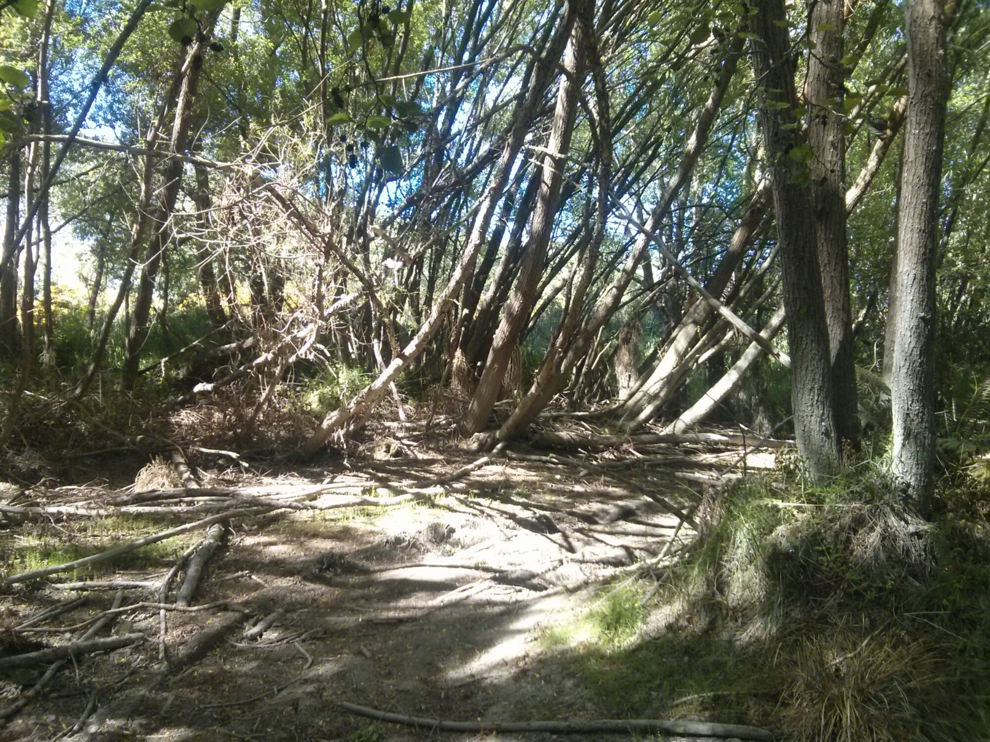 wp-1416302361266 image