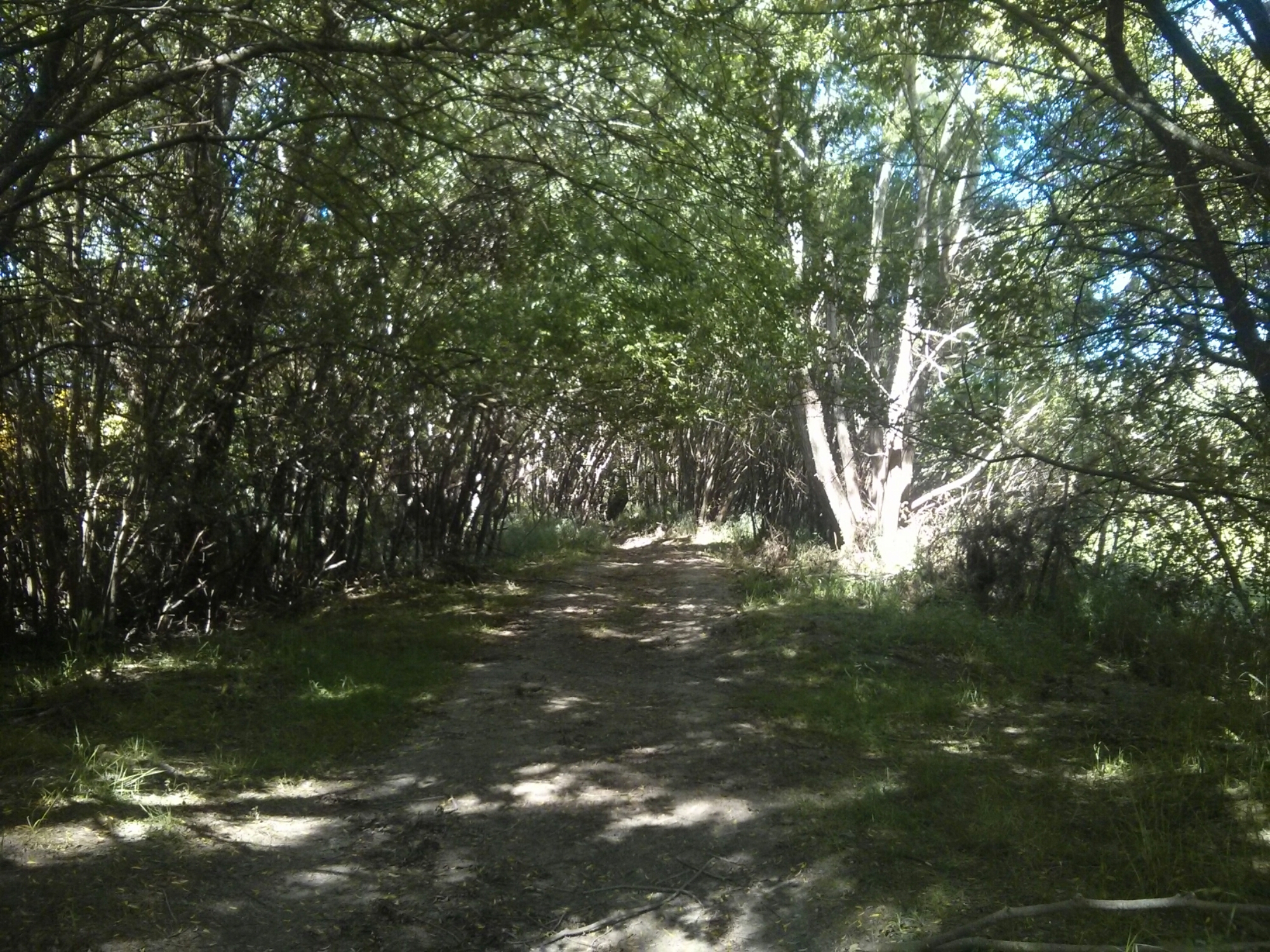 wp-1416302467625 image