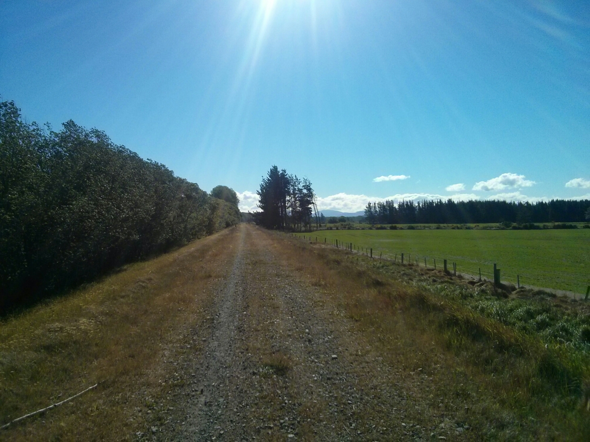 wp-1416303560208 image