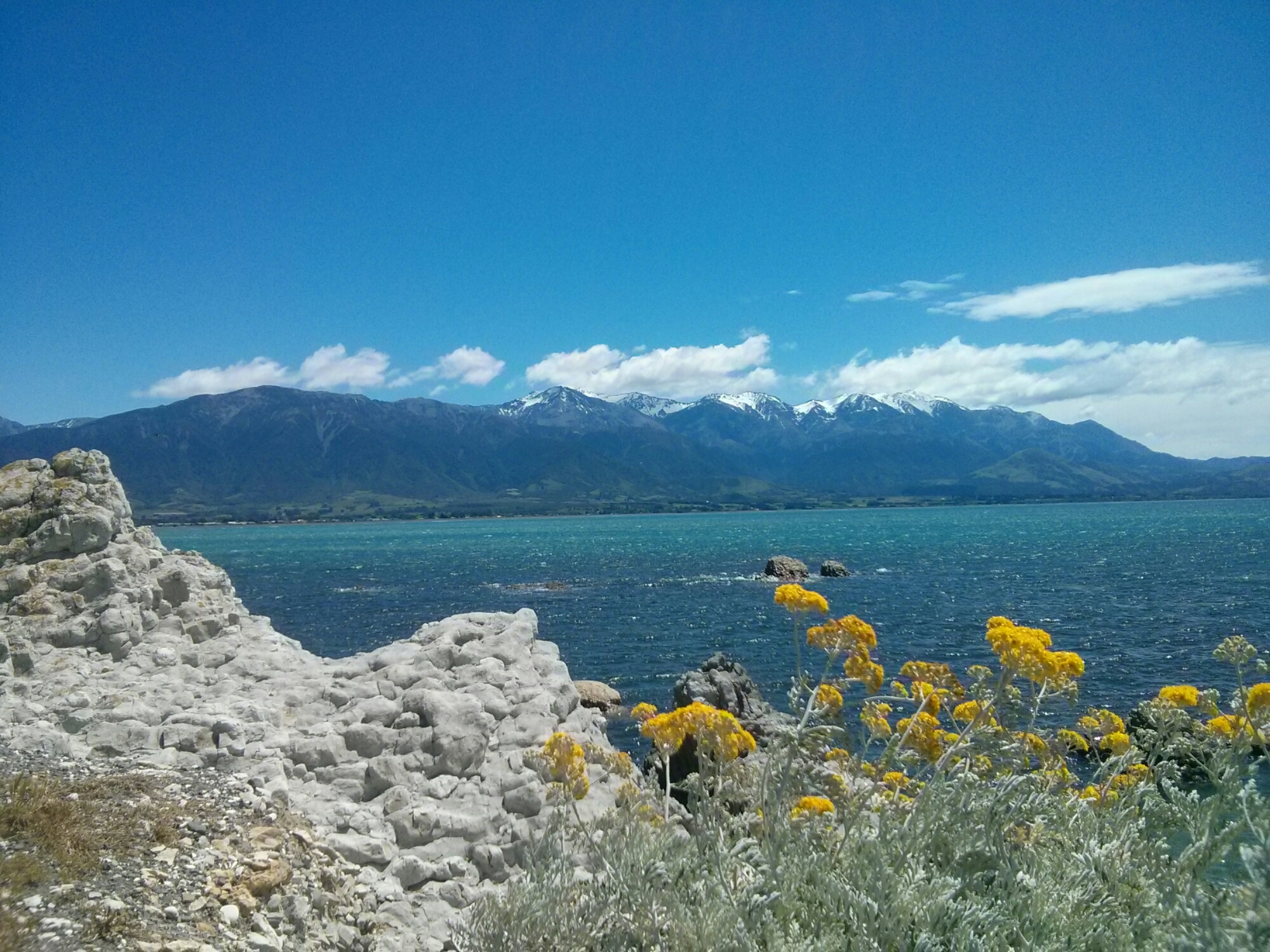 wp-1416430593822 image