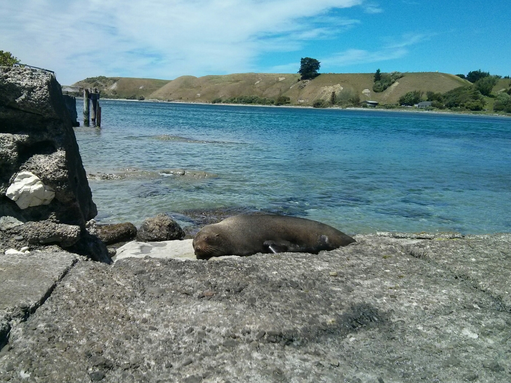 wp-1416430675231 image