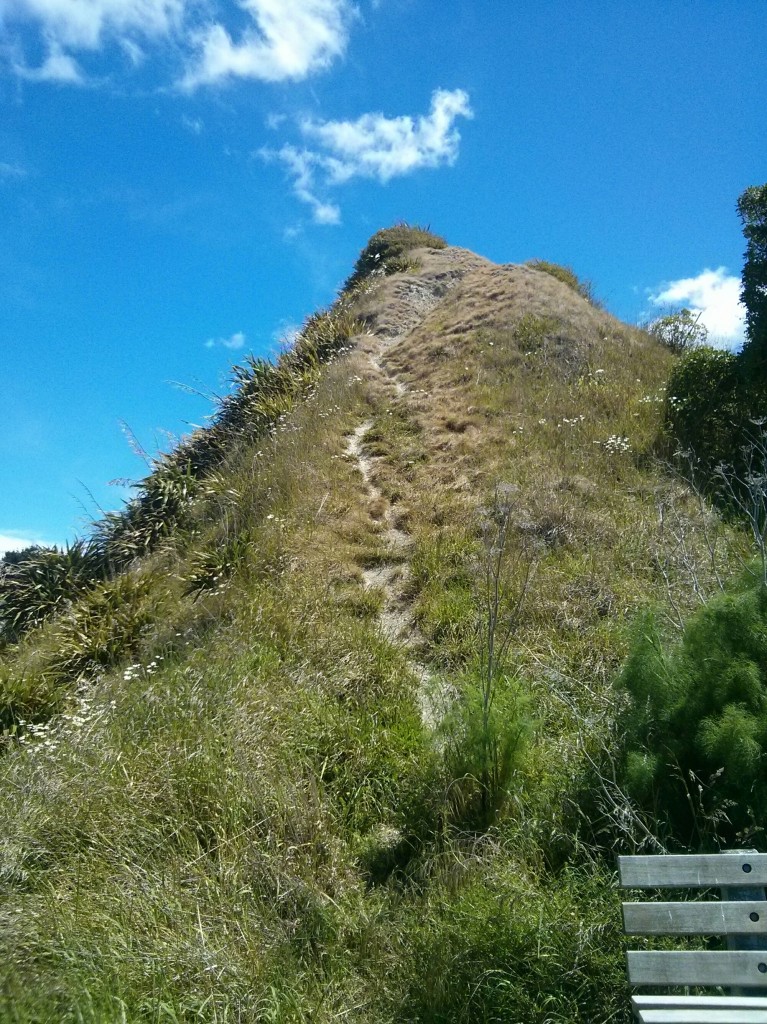 wpid-wp-1416431330223