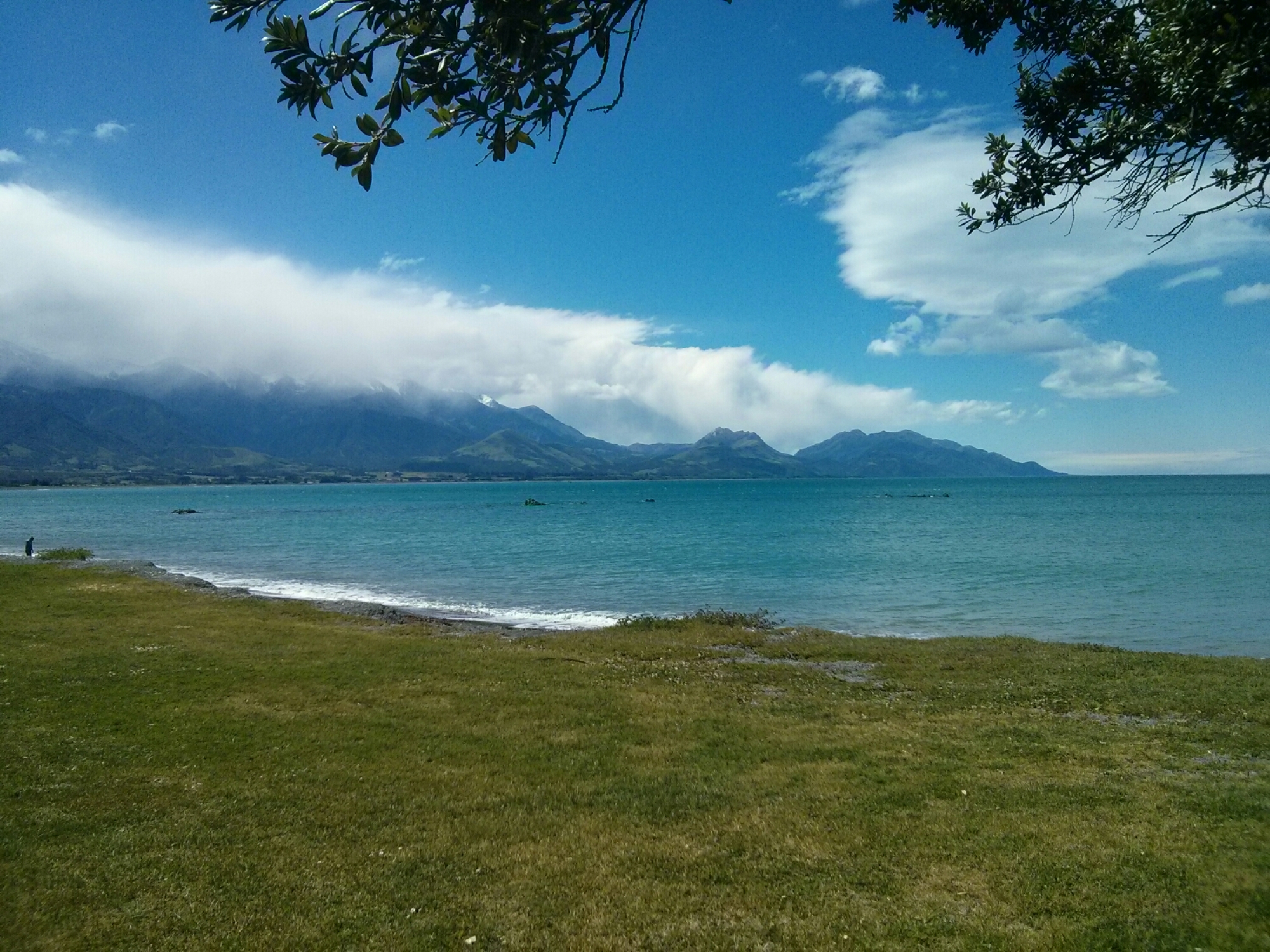 wp-1416431818954 image