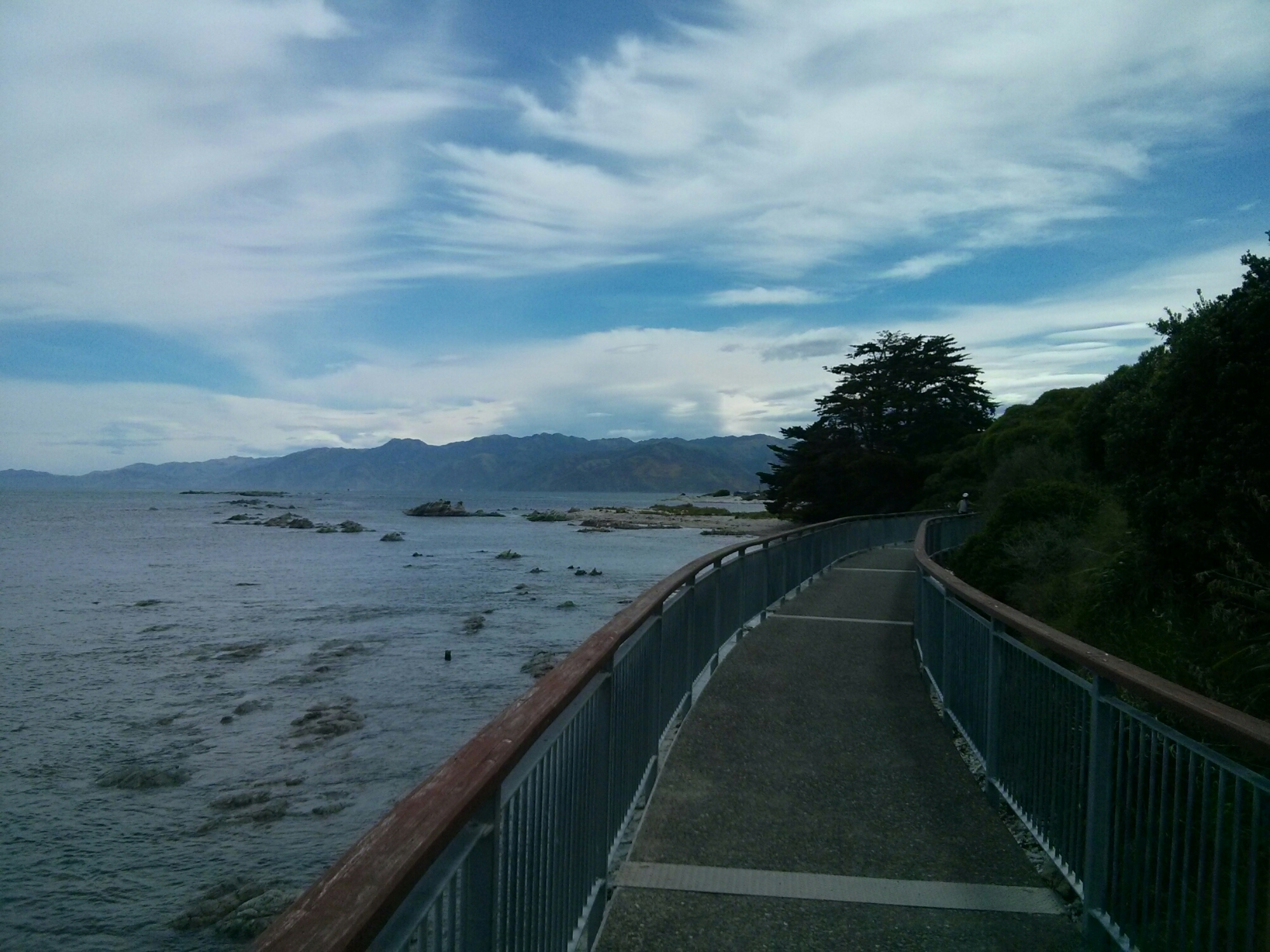 wp-1416475935300 image