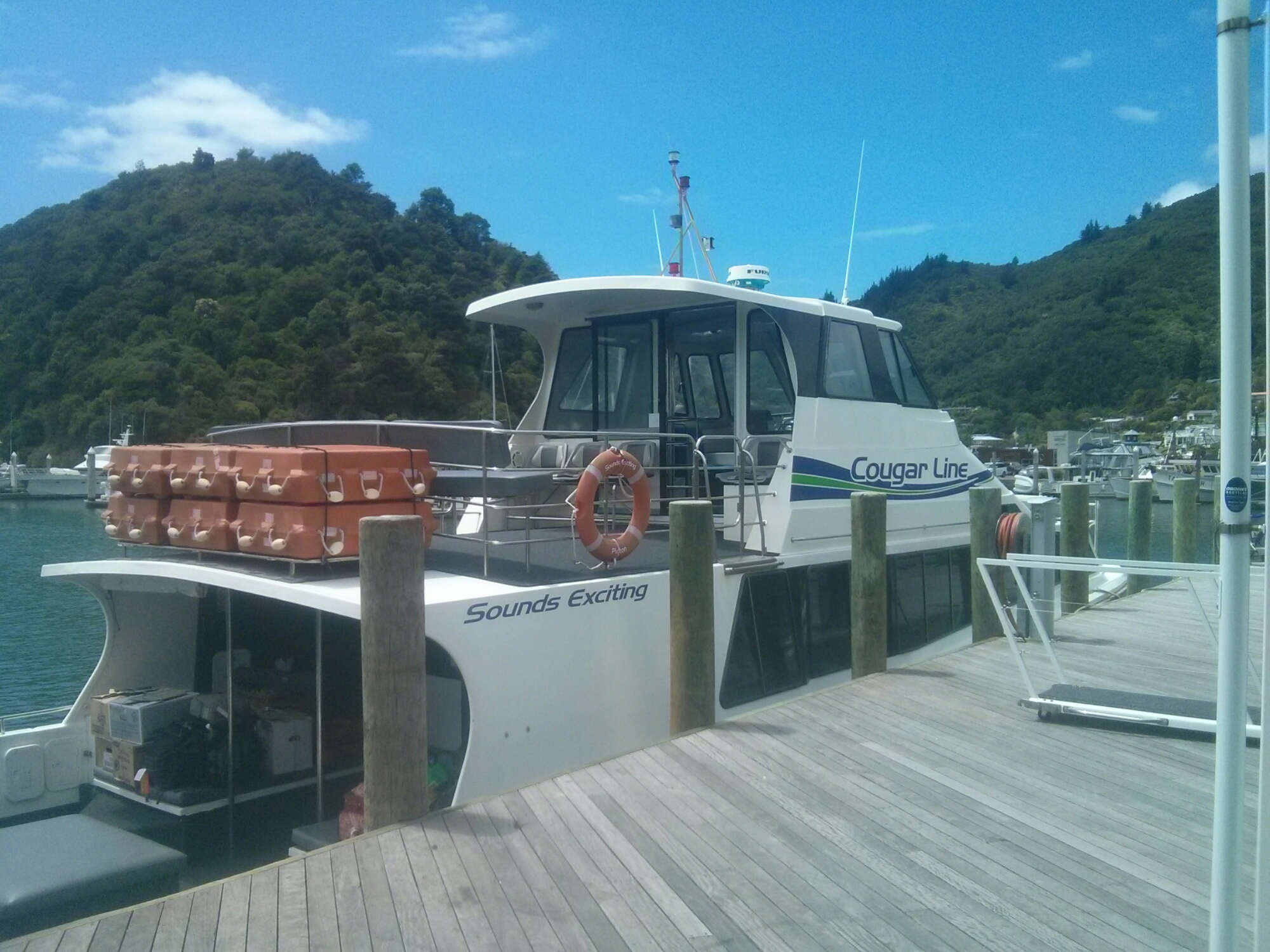 wp-1416726402028 image