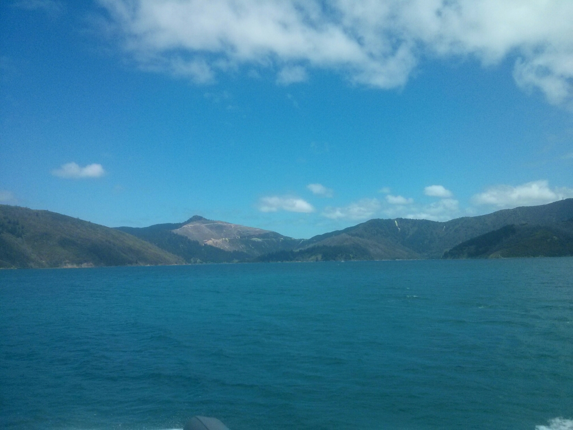 wp-1416726582725 image