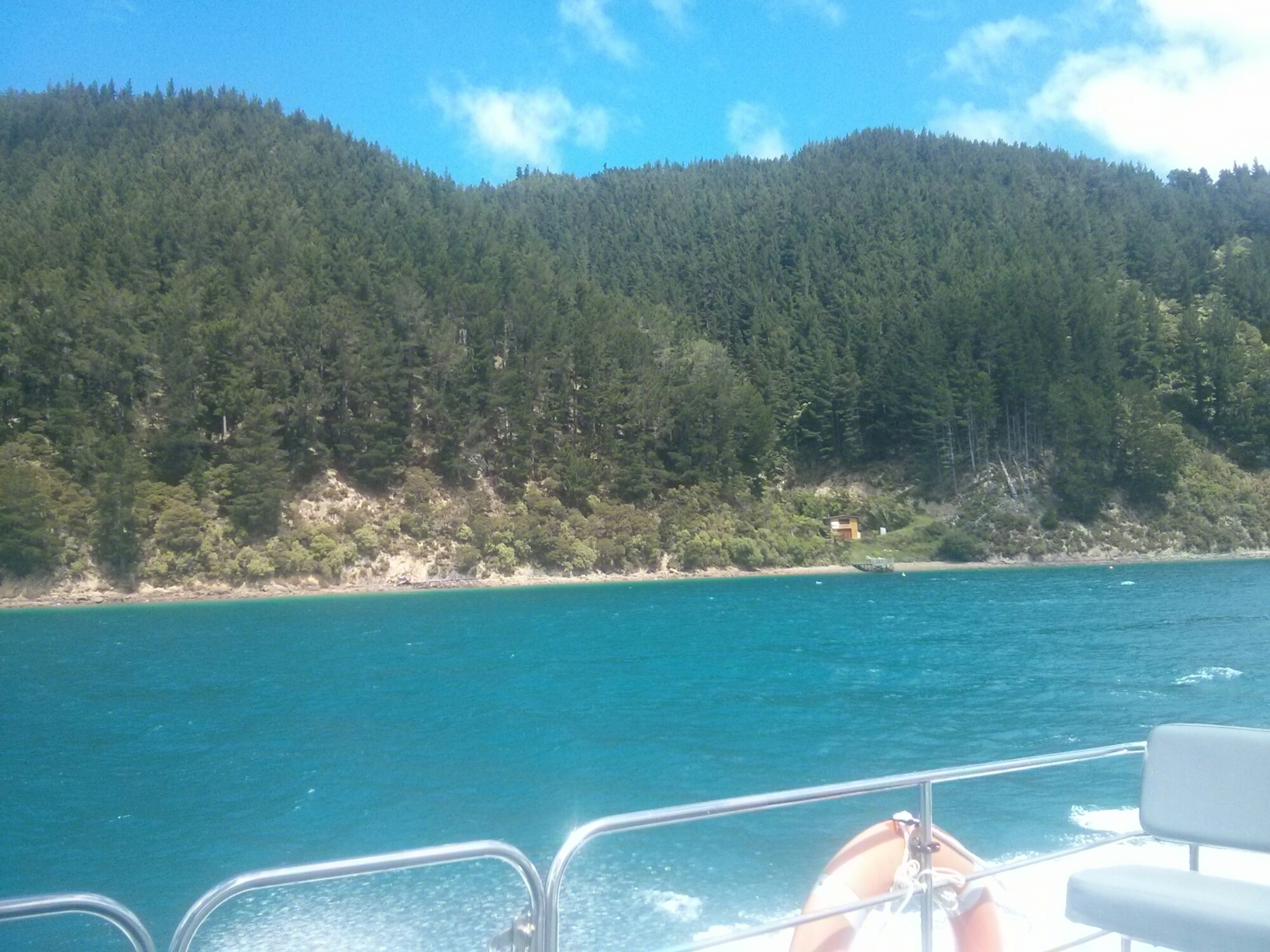 wp-1416726598764 image