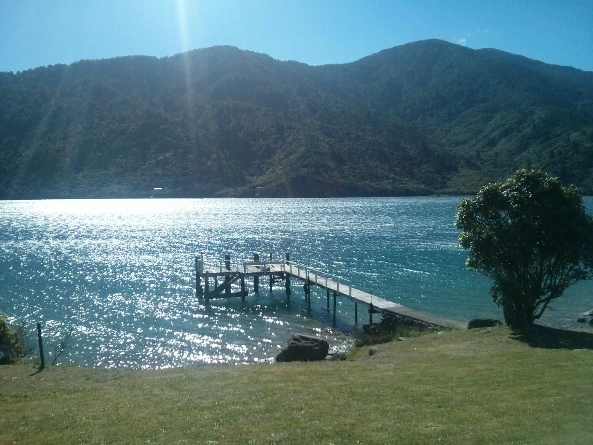 wp-1416728256564 image