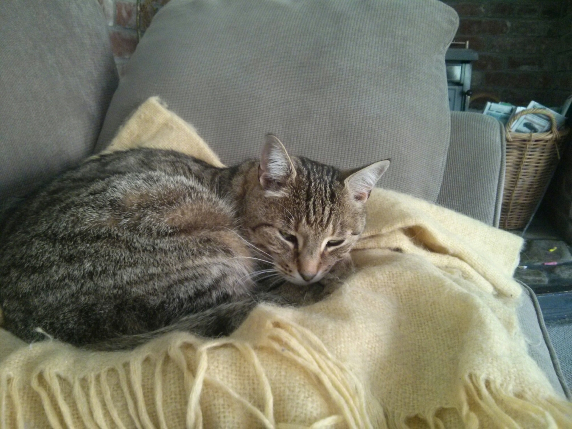 wp-1416821193644 image