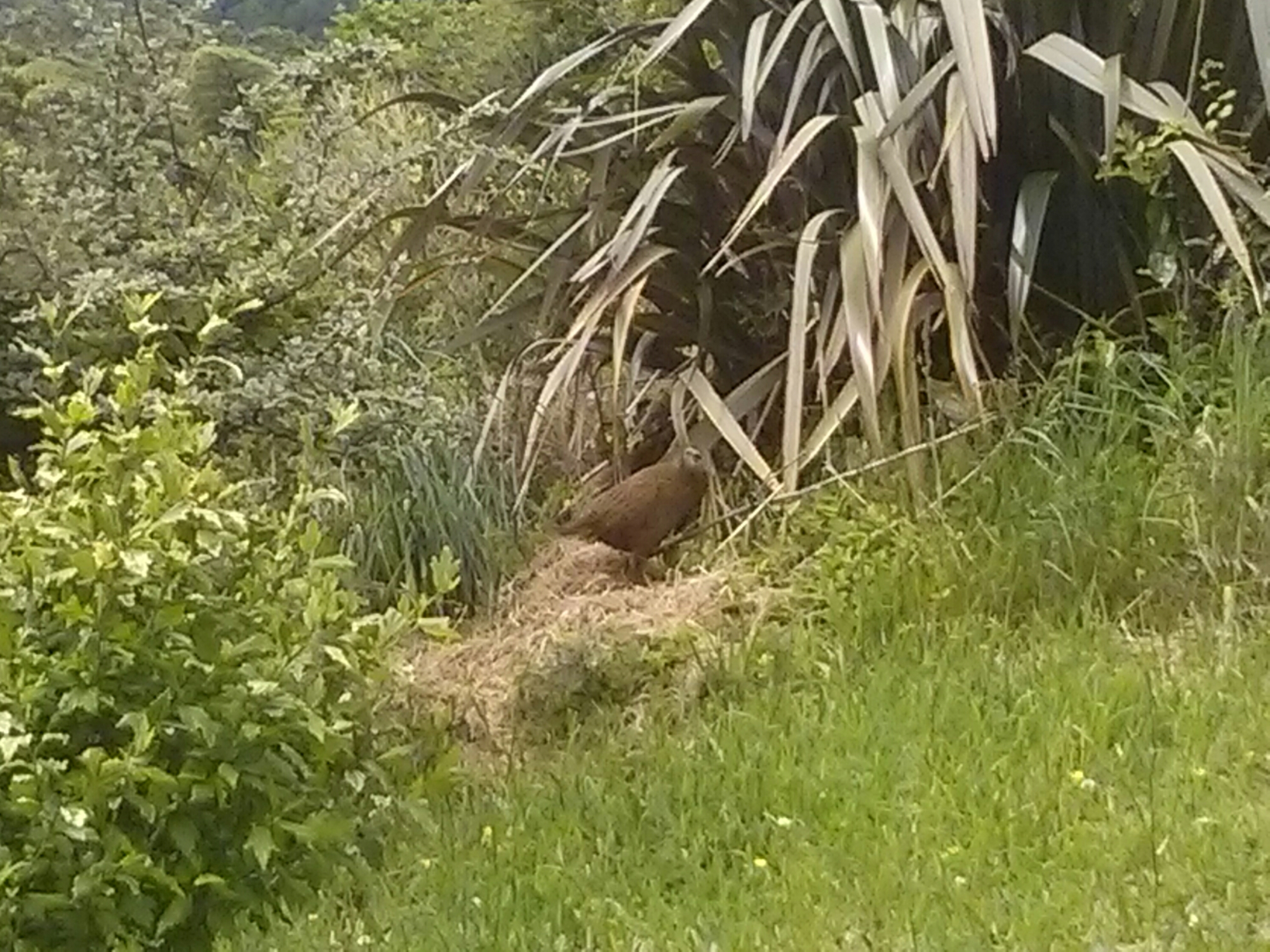 wp-1417155967039 image