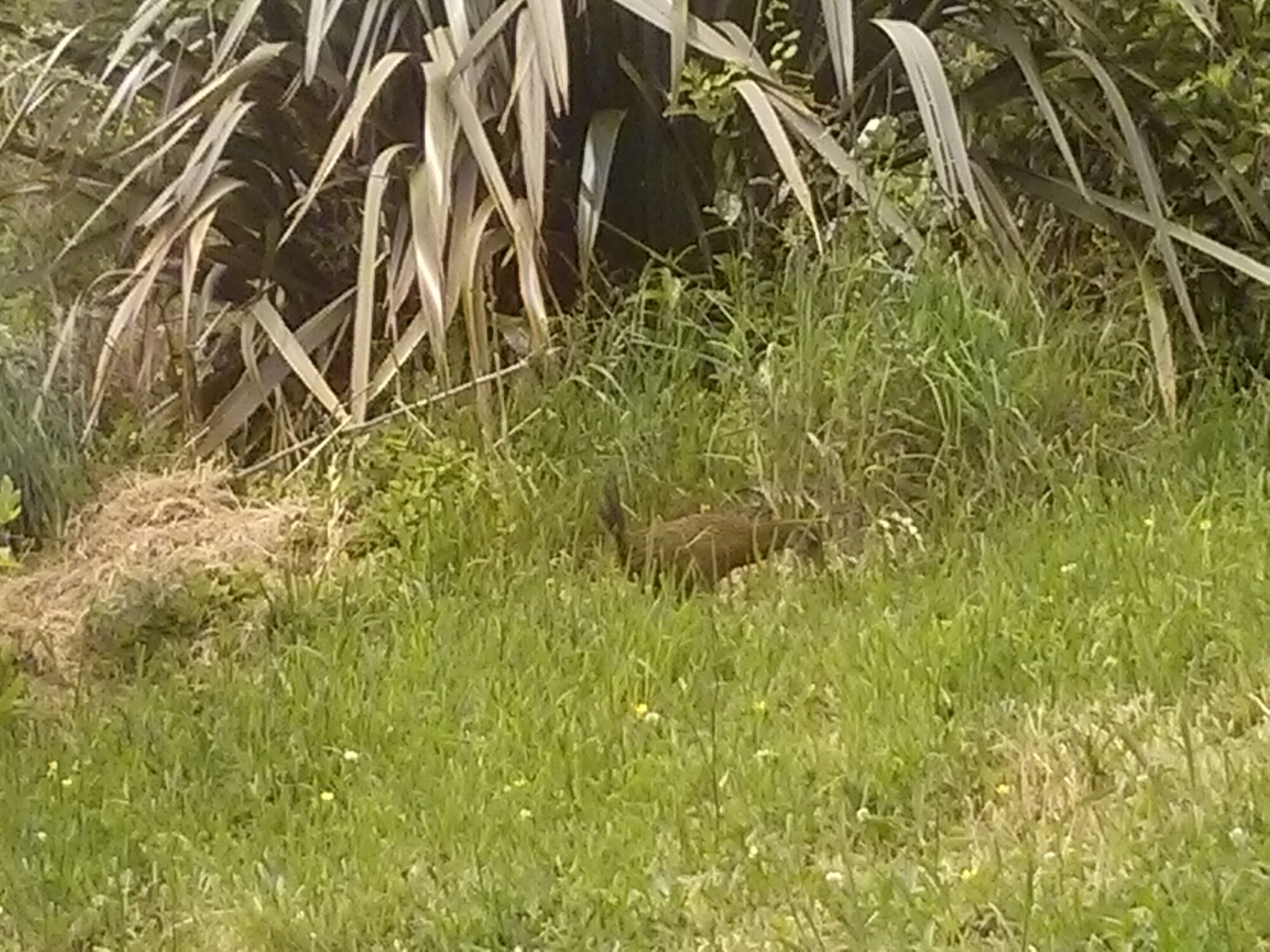 wp-1417155977067 image