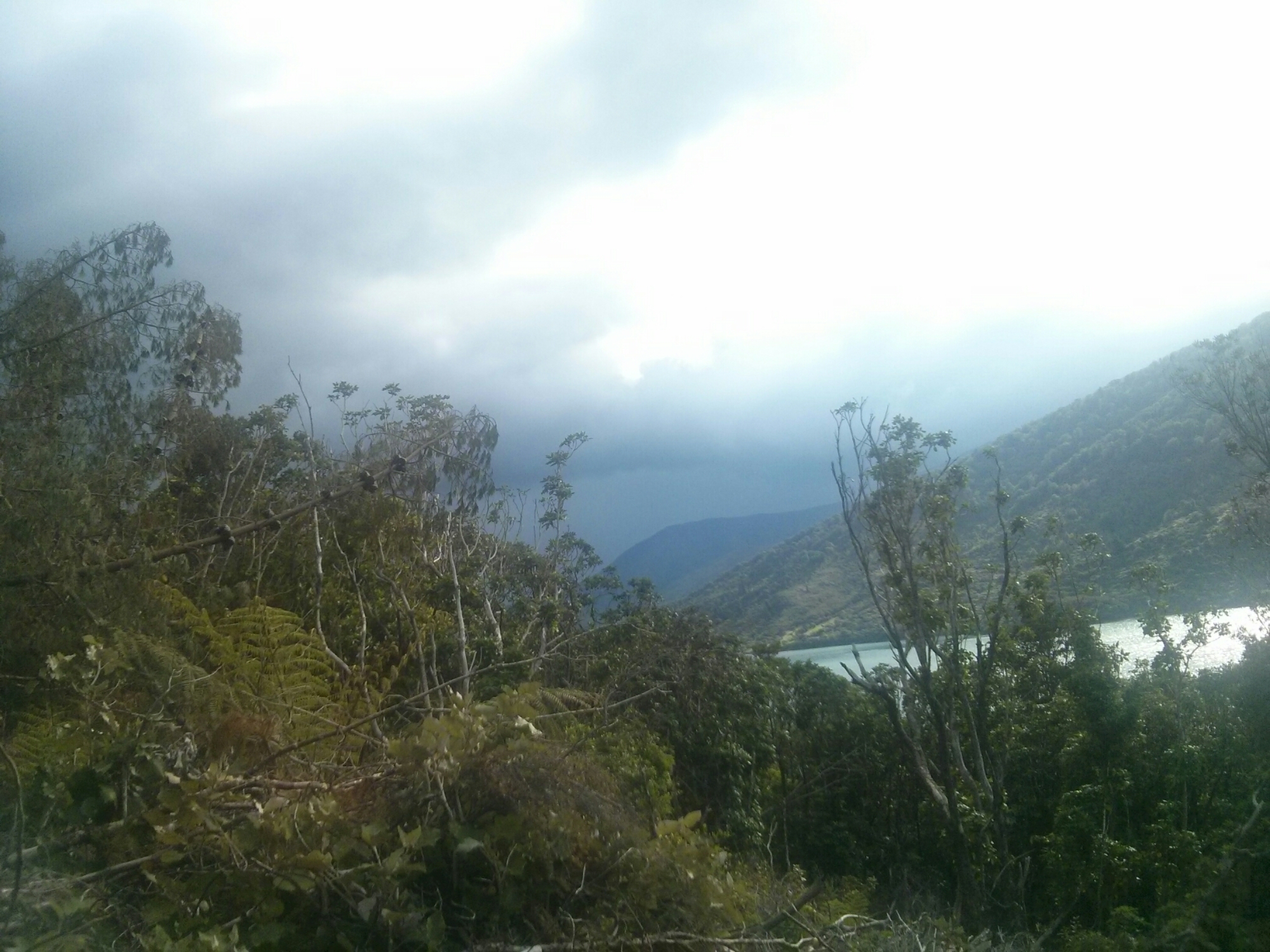 wp-1417157433671 image