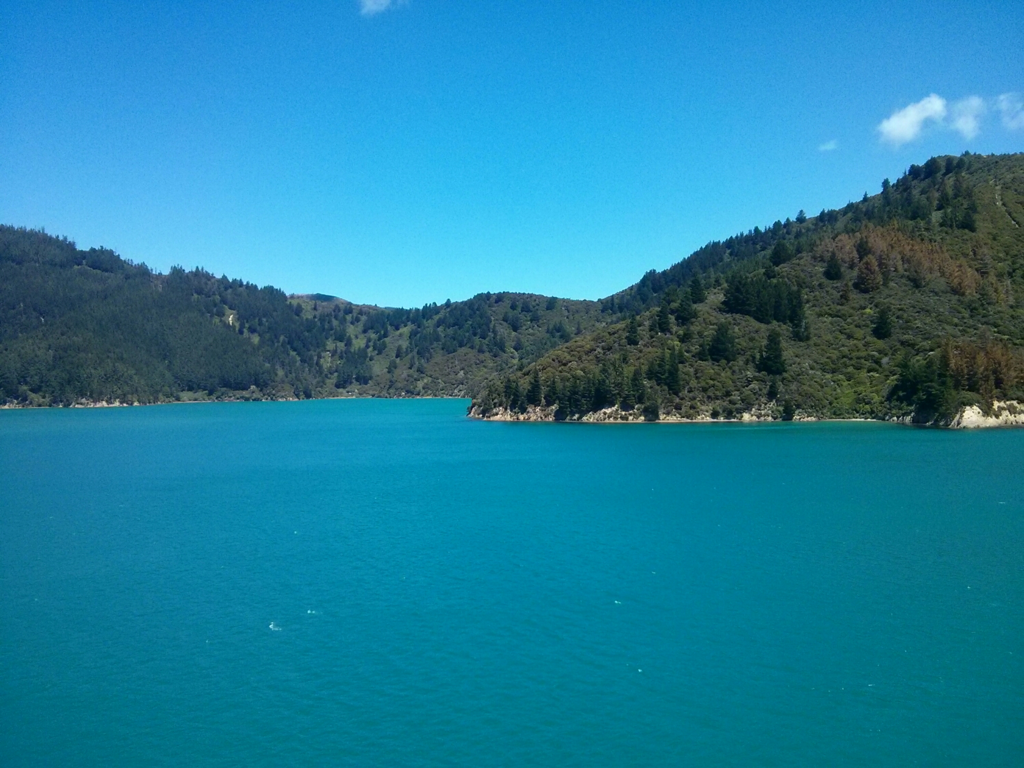 wp-1417267907121 image