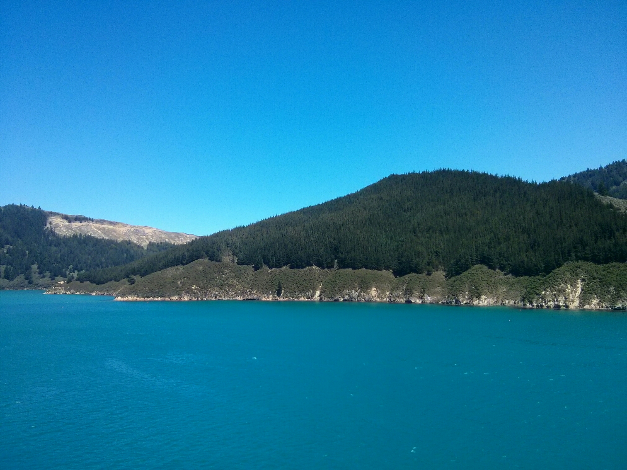 wp-1417268029013 image