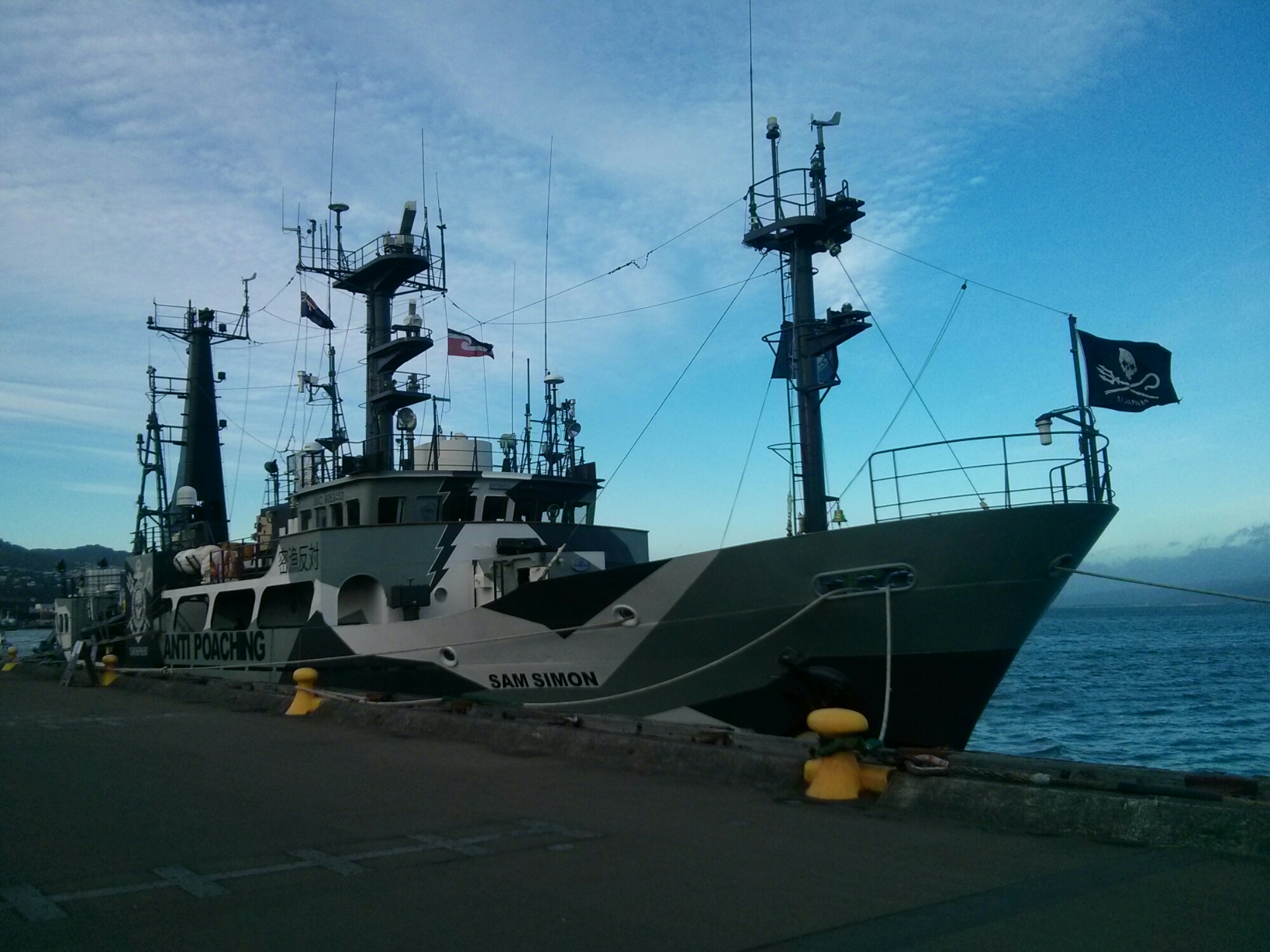 wp-1417269795134 image