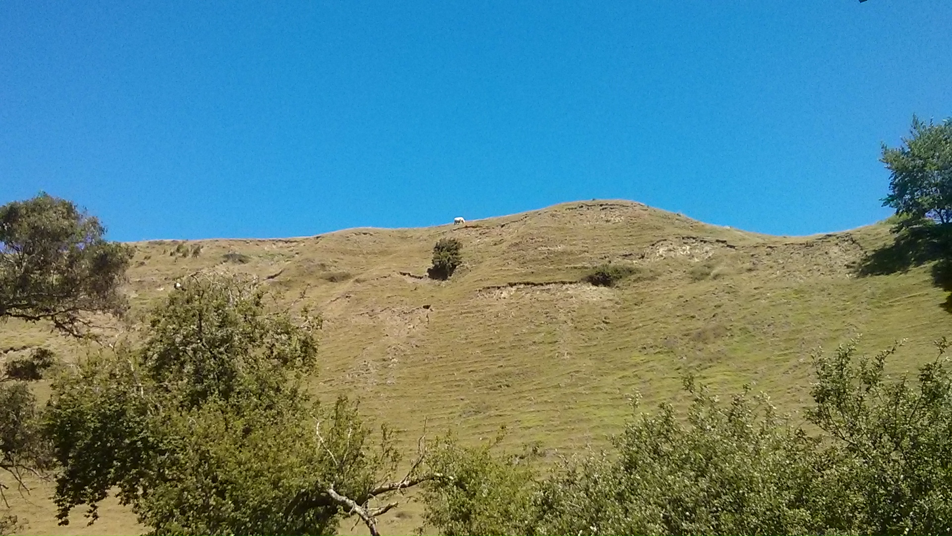 IMG_20141219_144715.jpg image