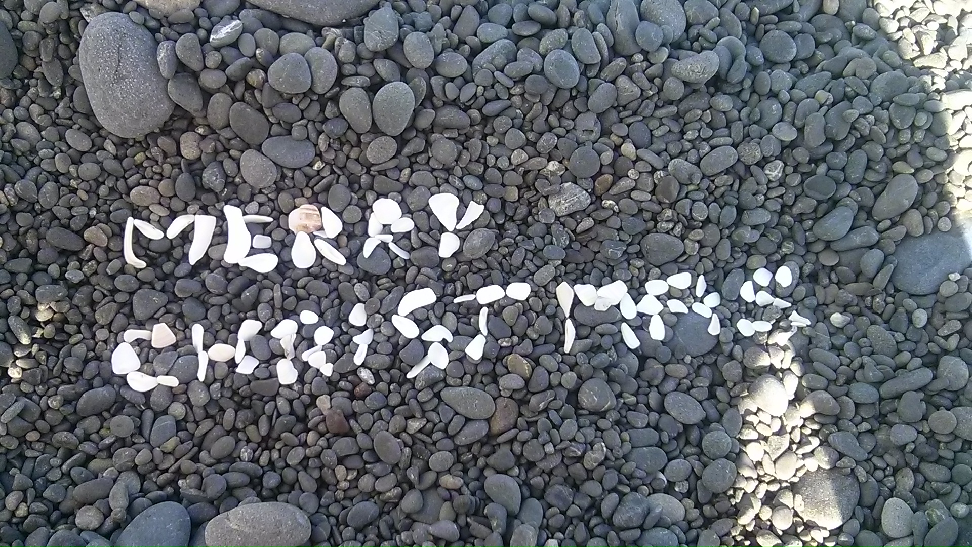 IMG_20141221_163411.jpg image