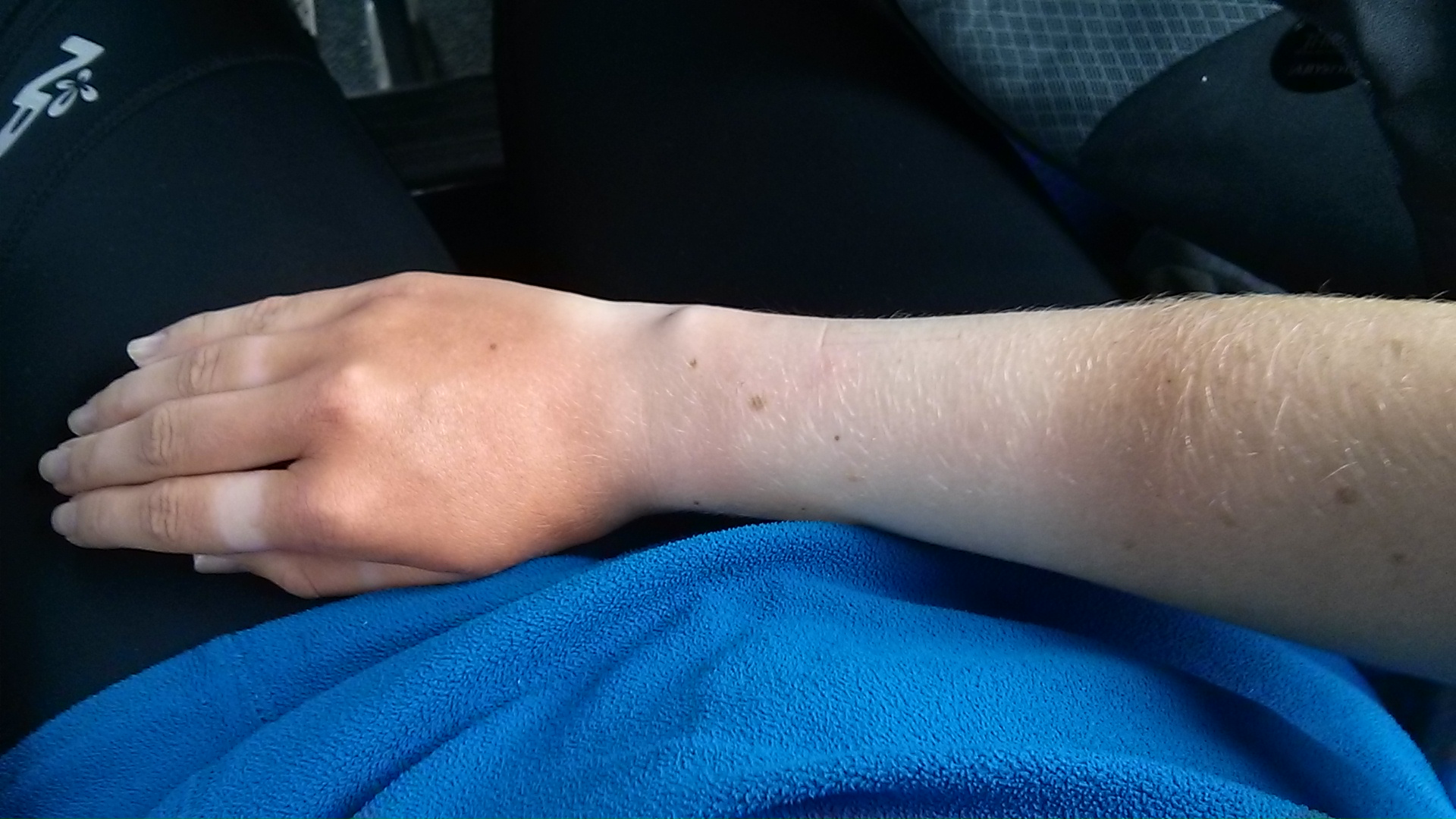 IMG_20141227_102856.jpg image