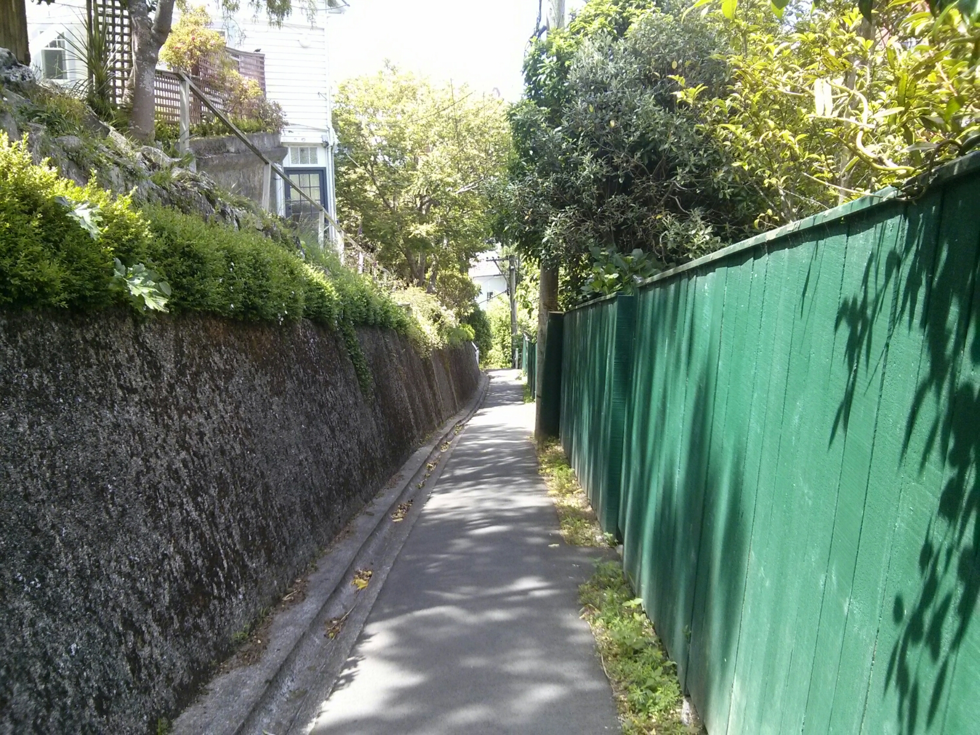 wp-1417347351063 image