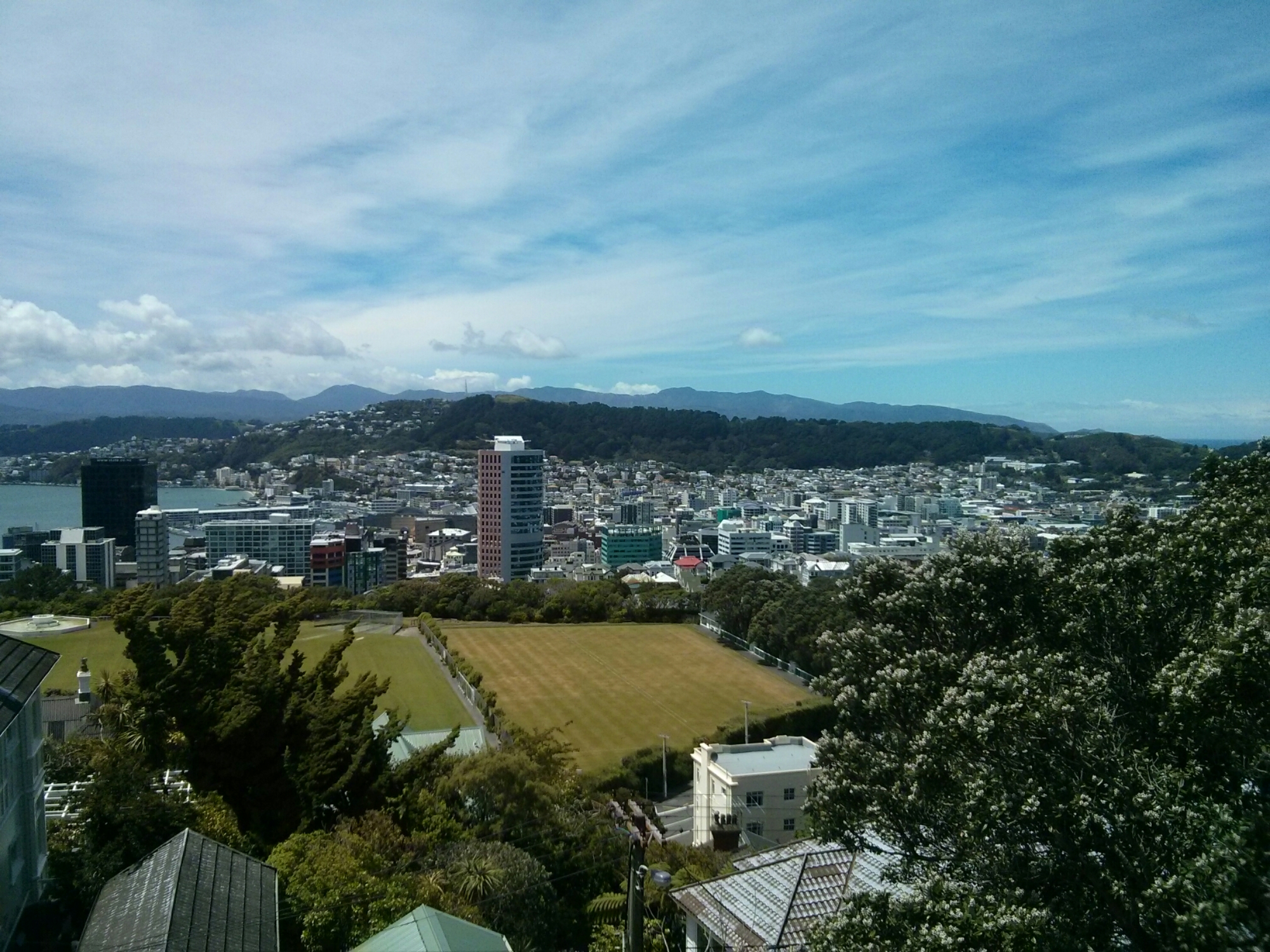 wp-1417347575841 image