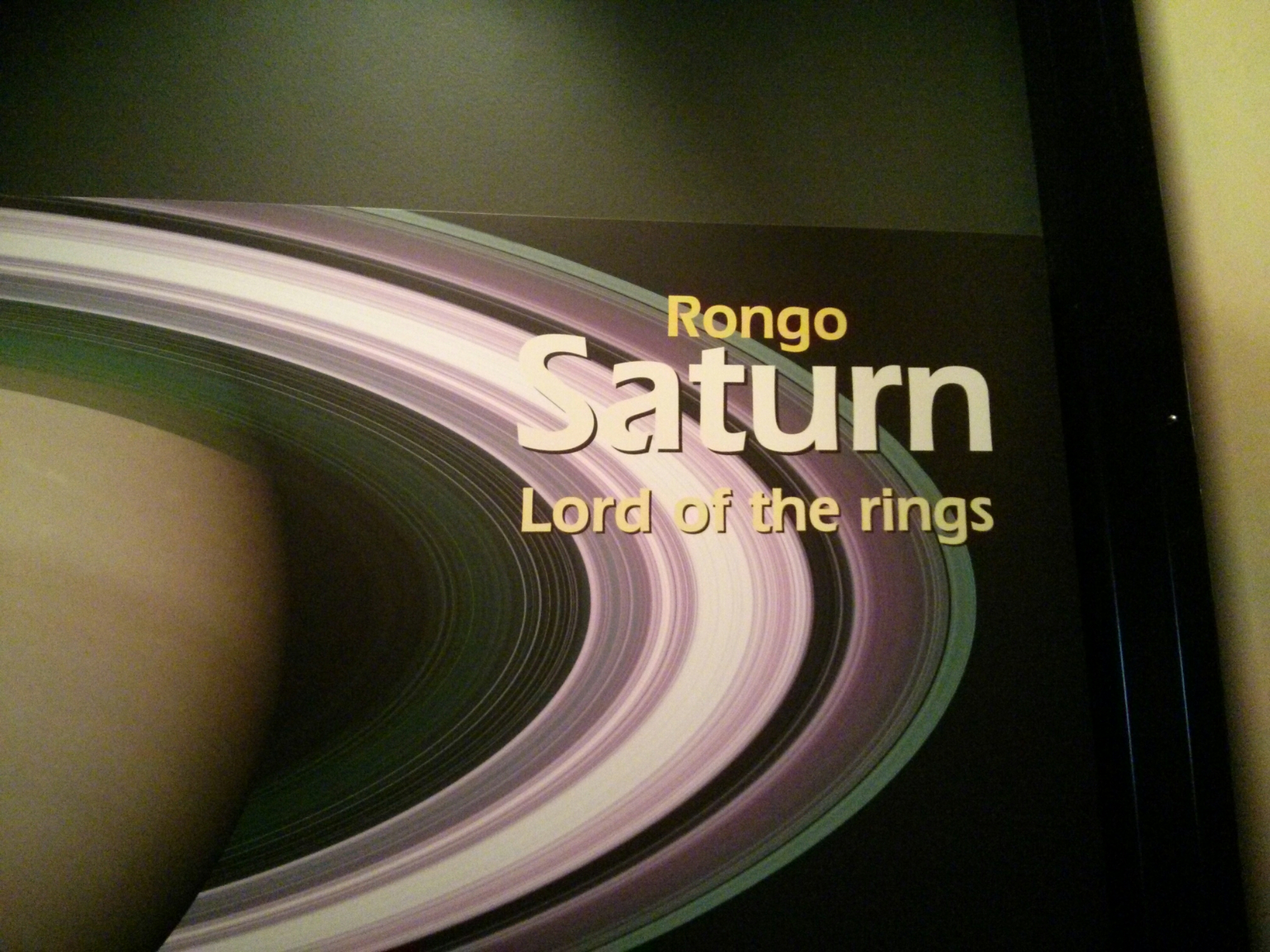 wp-1417348028594 image