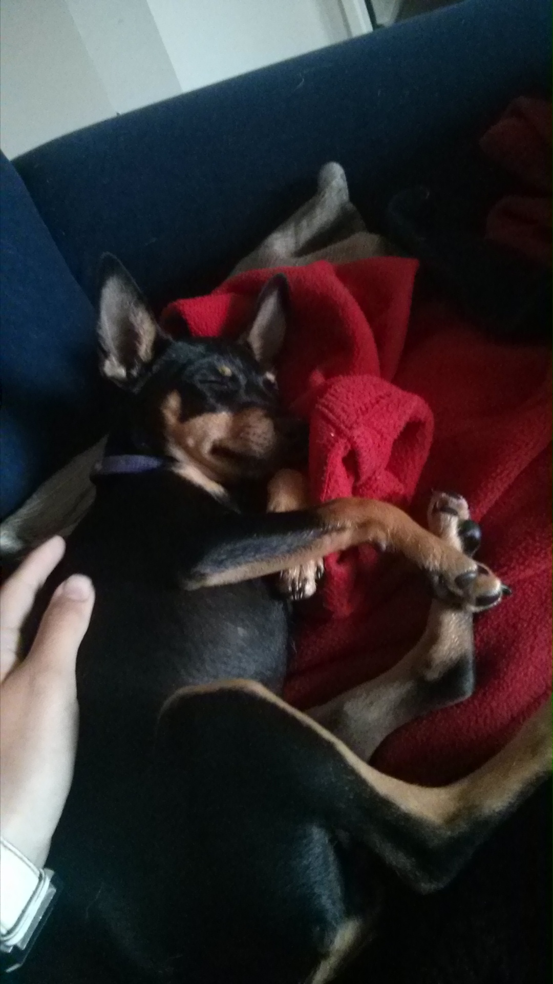 wp-1418804988641 image