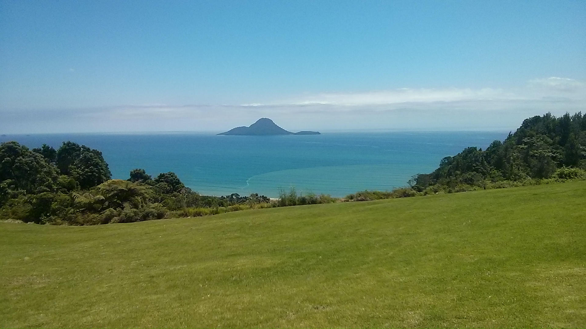 IMG_20150109_123007.jpg image