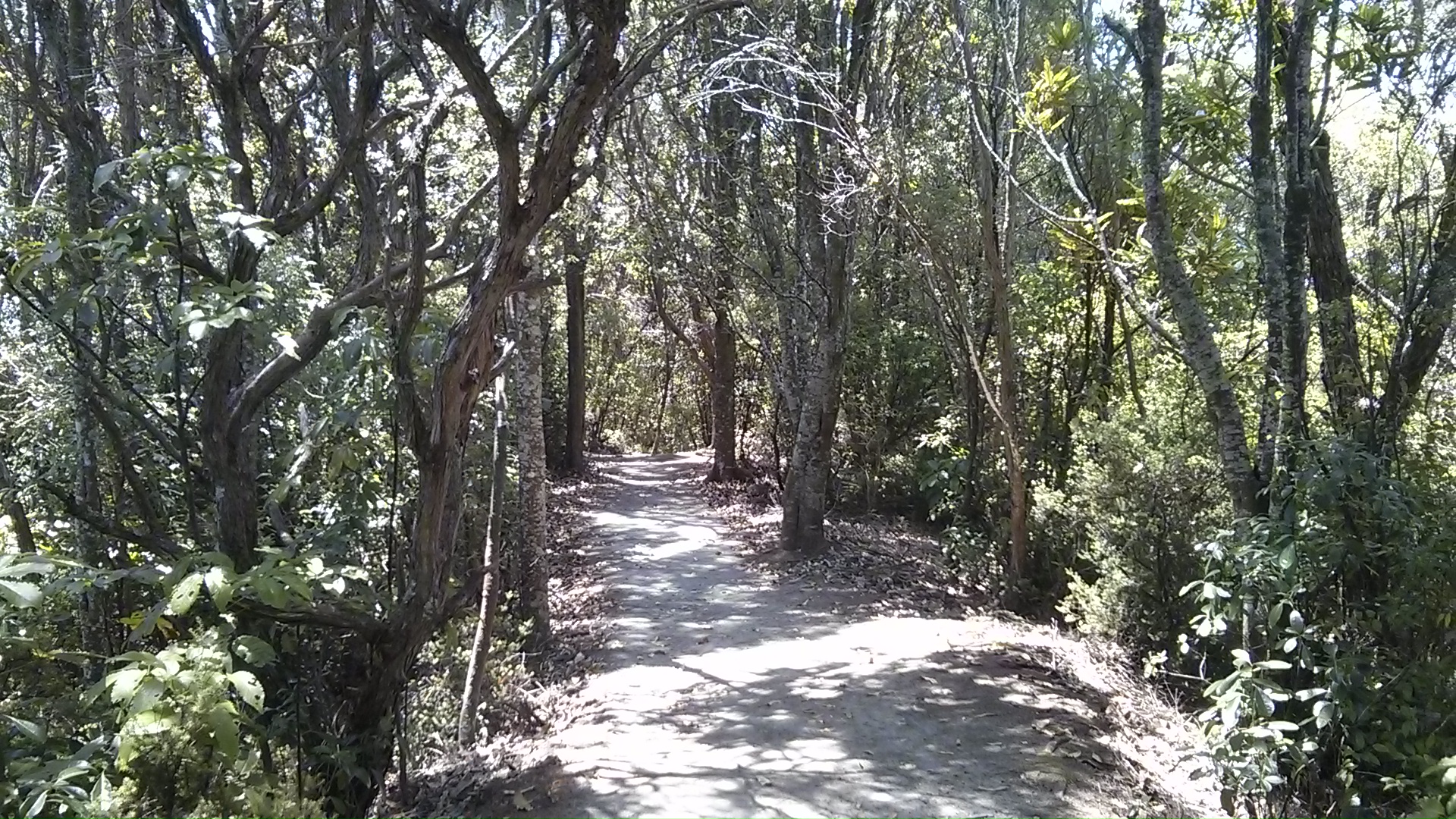 IMG_20150110_143037.jpg image