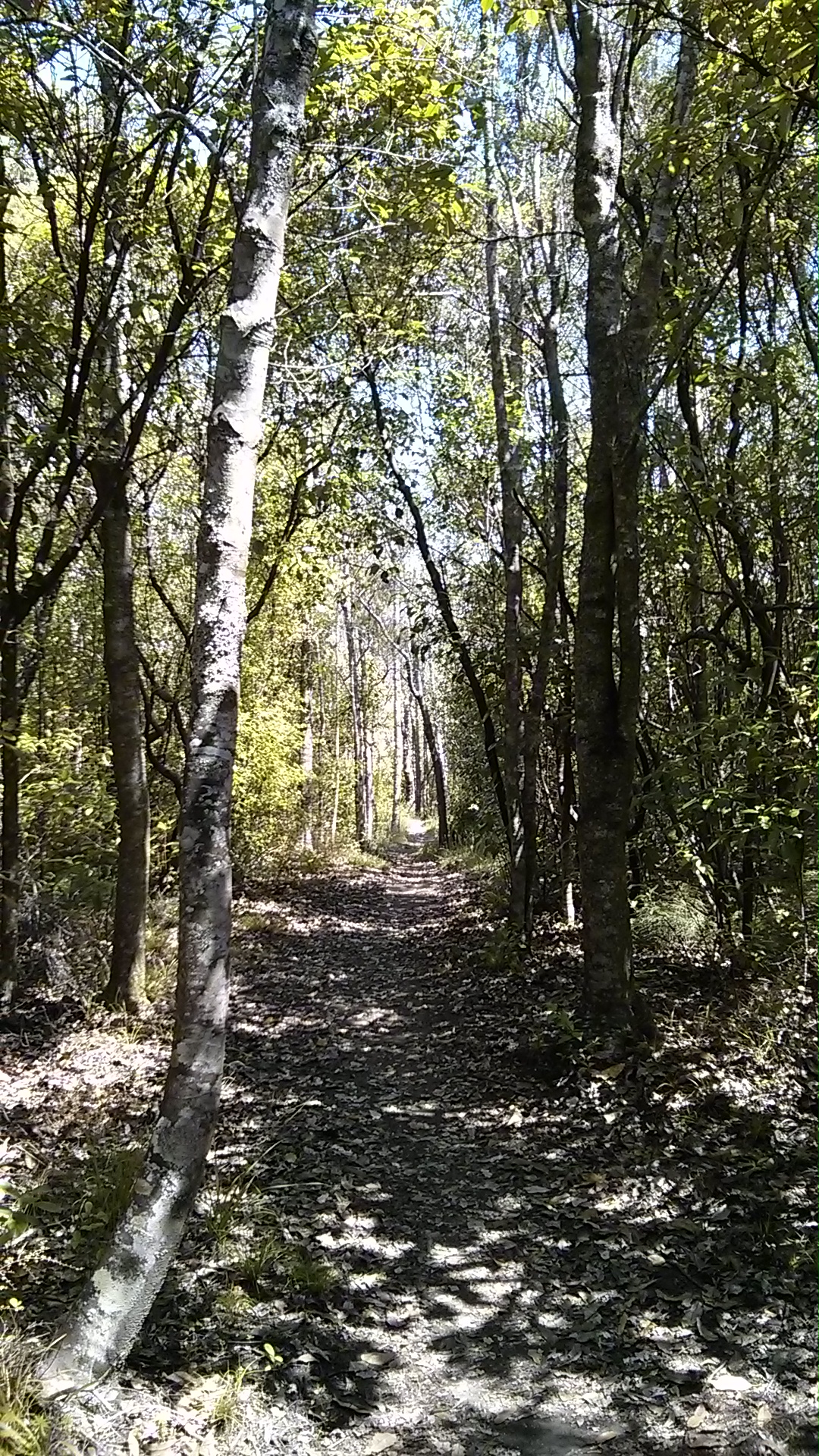 IMG_20150110_151405.jpg image