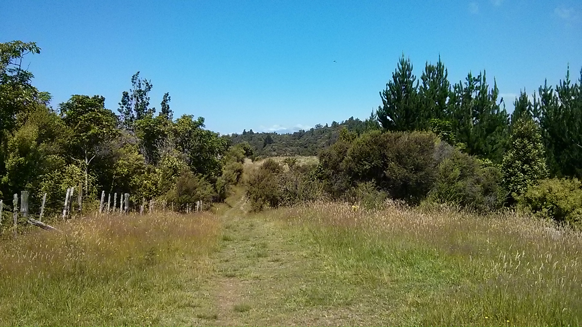 IMG_20150110_152309.jpg image