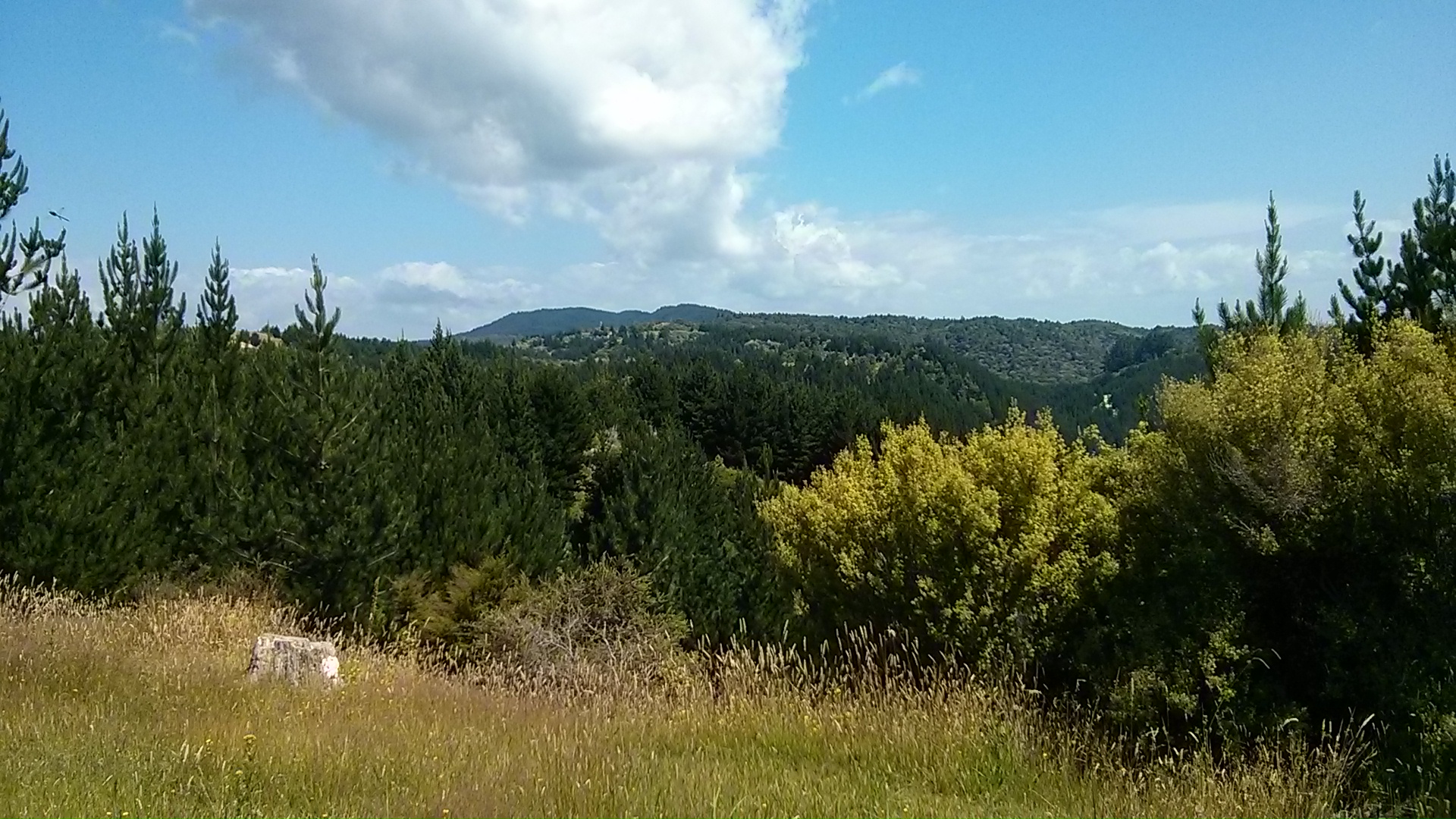 IMG_20150110_152313.jpg image