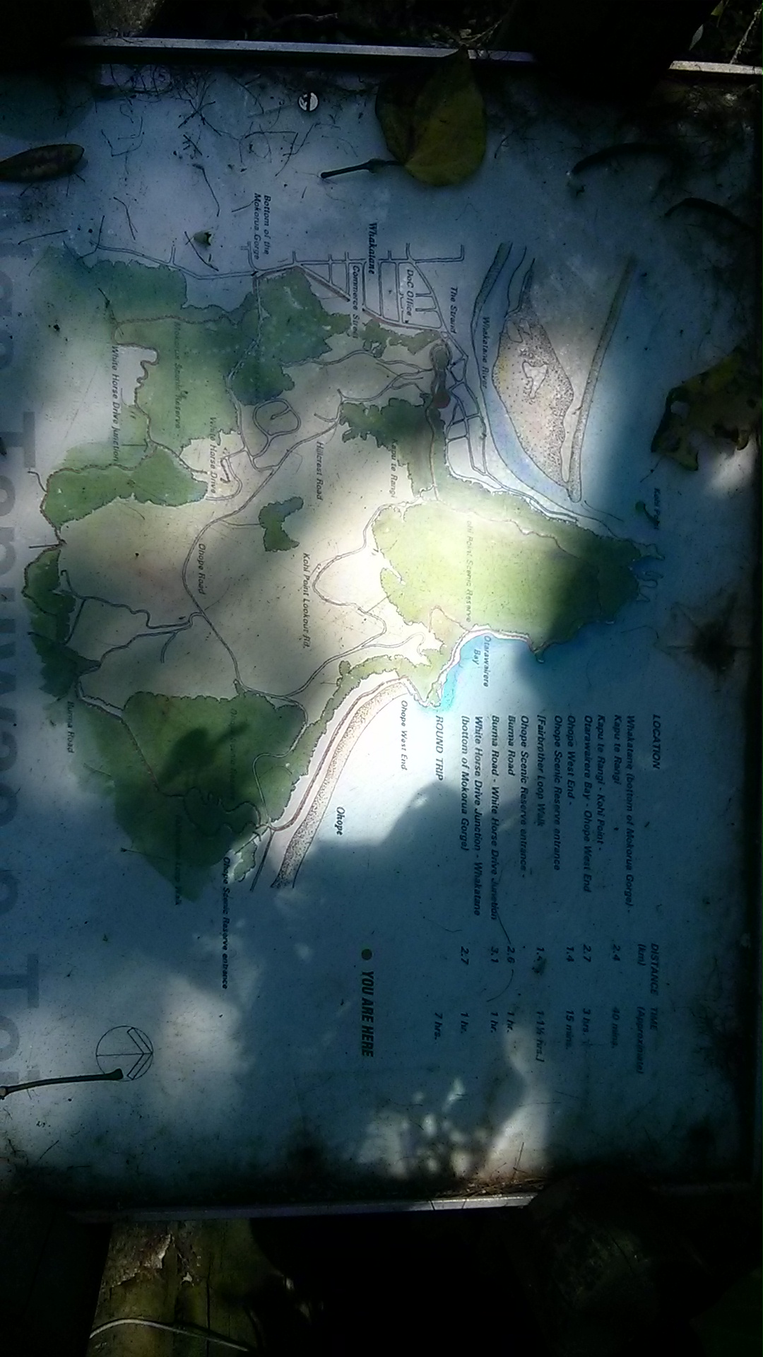 IMG_20150111_145803.jpg image